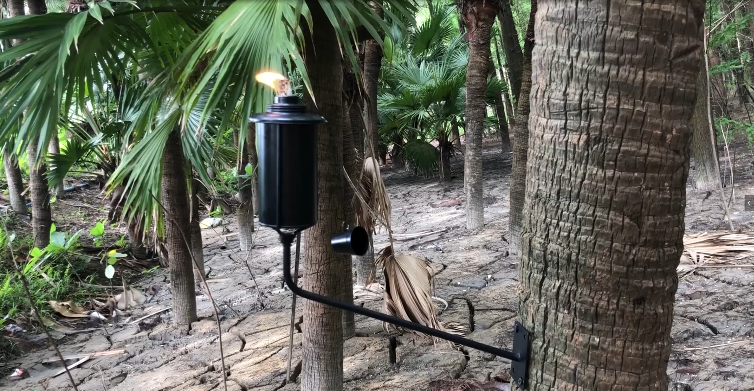 Amazon.com: FAN-Torches Wall Mounted Citronella Torches Set of 6