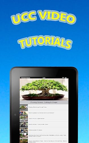 Easy Bonsai Tree For Beginners - Best How To Grow Bonzai Plants Tips & Care Instruction Ucc Videos, Start Today! #TOP3