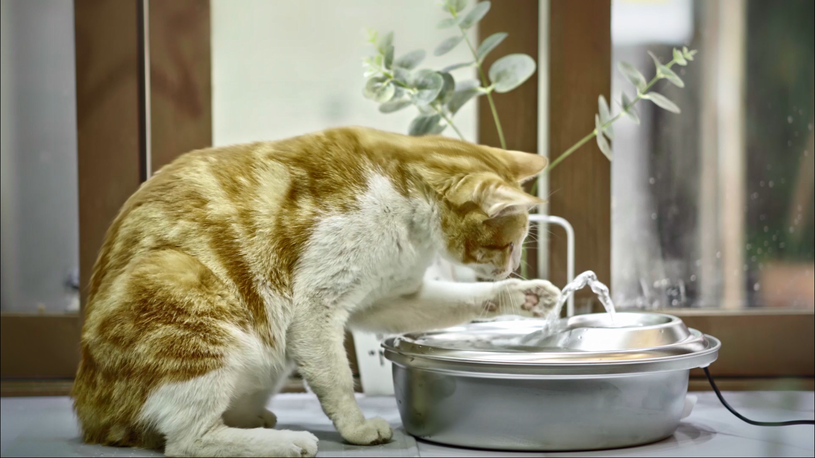 ORSDA Cat Water Fountain Stainless Steel, Pet Water Fountain for Cats Inside 2L, Cat Automatic