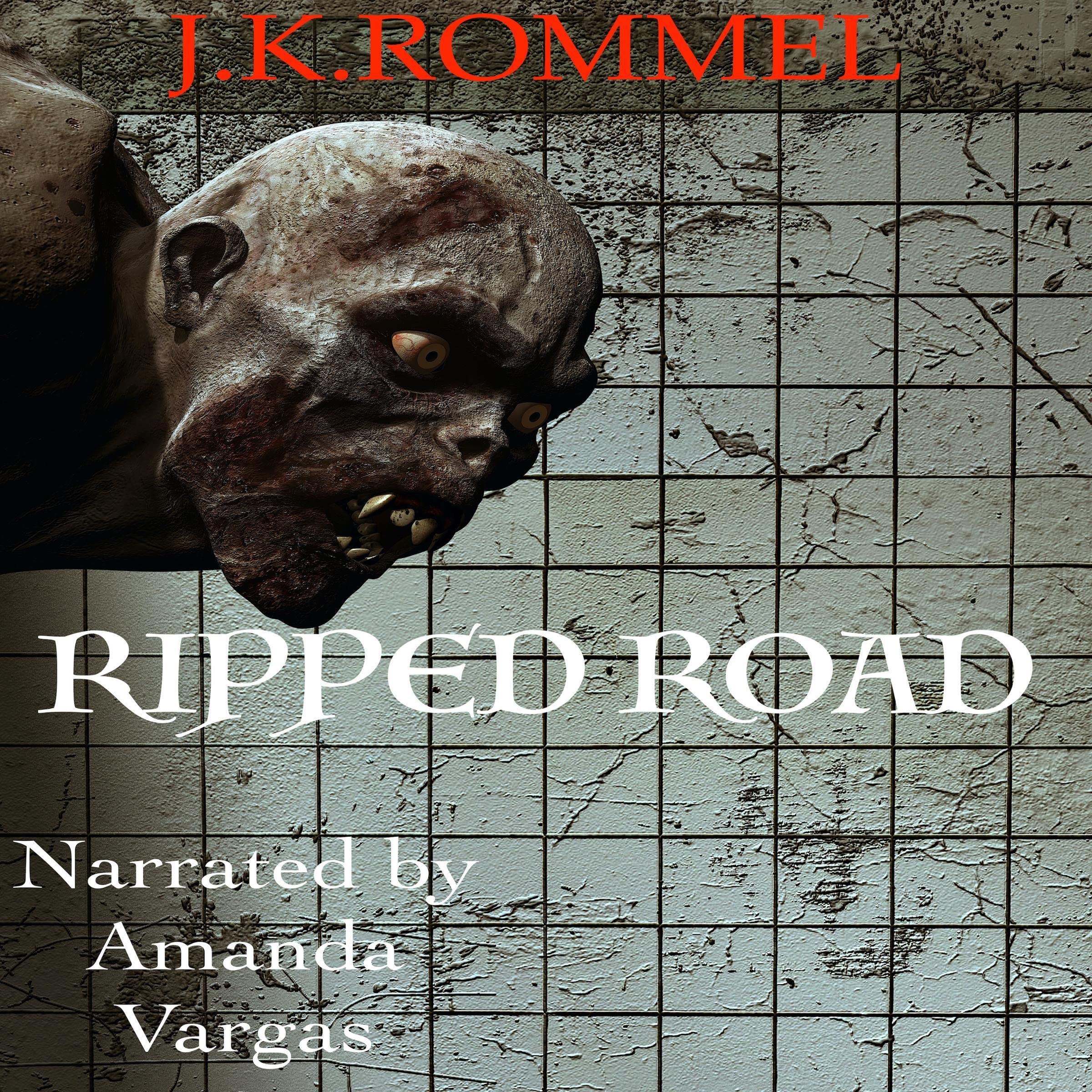 Cover art for Ripped Road, Book 1