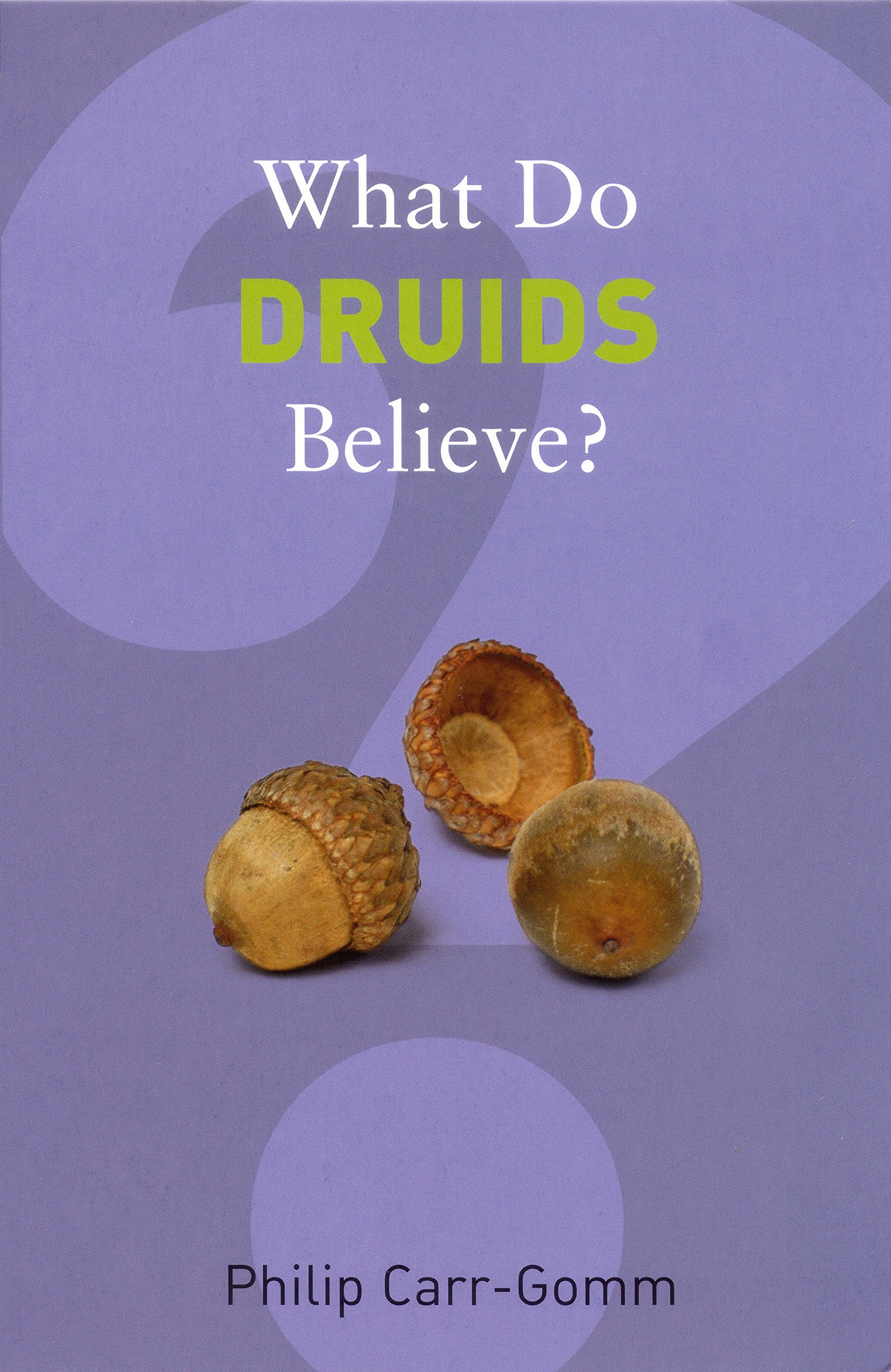 What Do Druids Believe? (What Do We Believe)