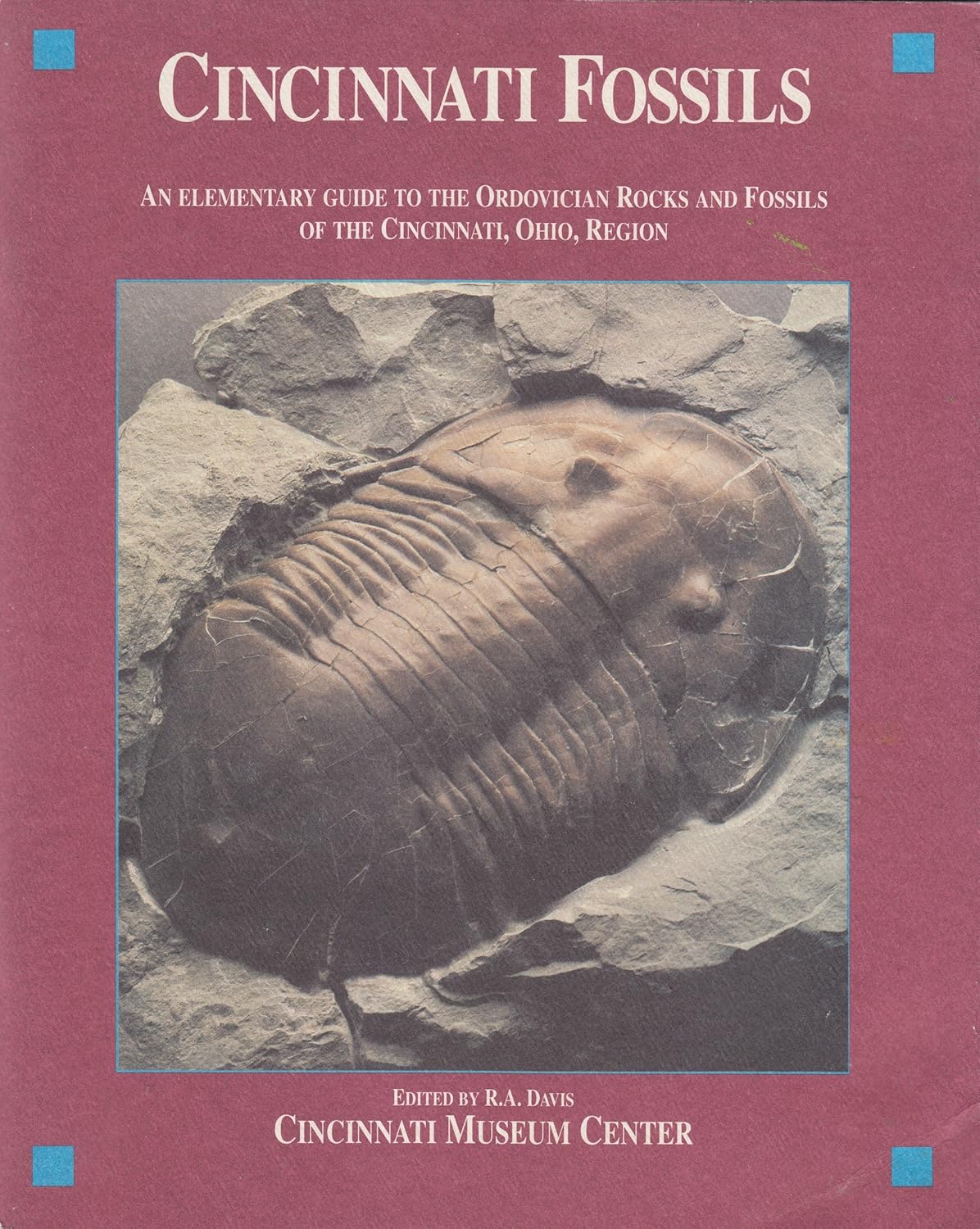 Cincinnati Fossils An Elementary Guide to the Ordivician Rocks and