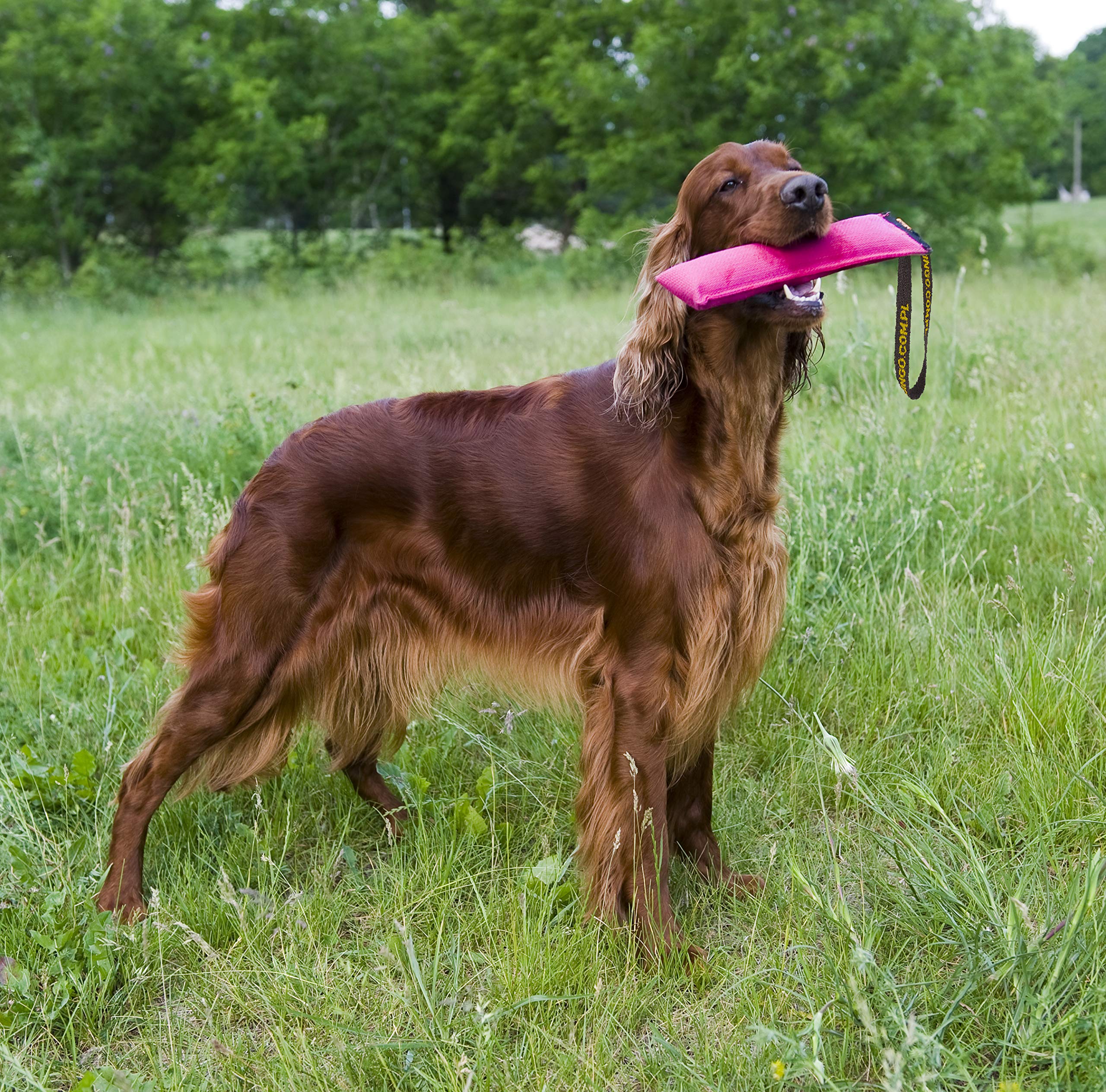 Dingo Jouet pour Chien en Coton Agility avec poignée Faite à la Main pour Le bisstraining Apport Flottant Multicolore