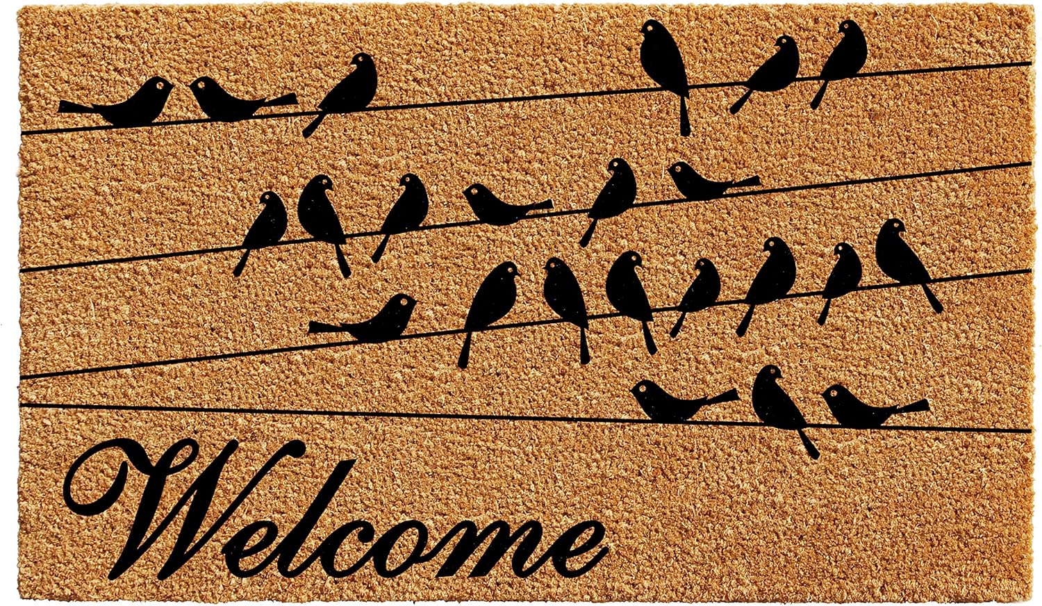 Calloway Mills 102542448 Black Bird Welcome Doormat 24" x 48"