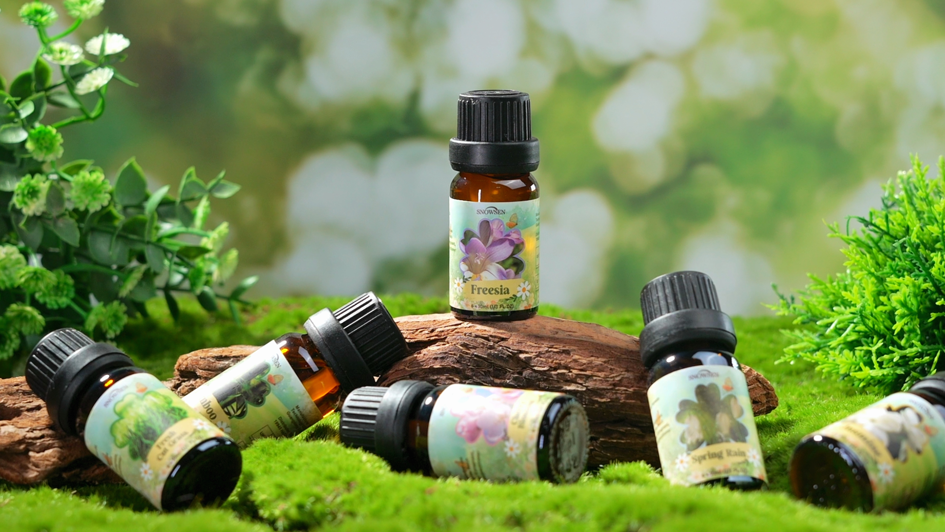 Amazon.com: Spring Essential Oil Set of Premium Fragrance Oils for