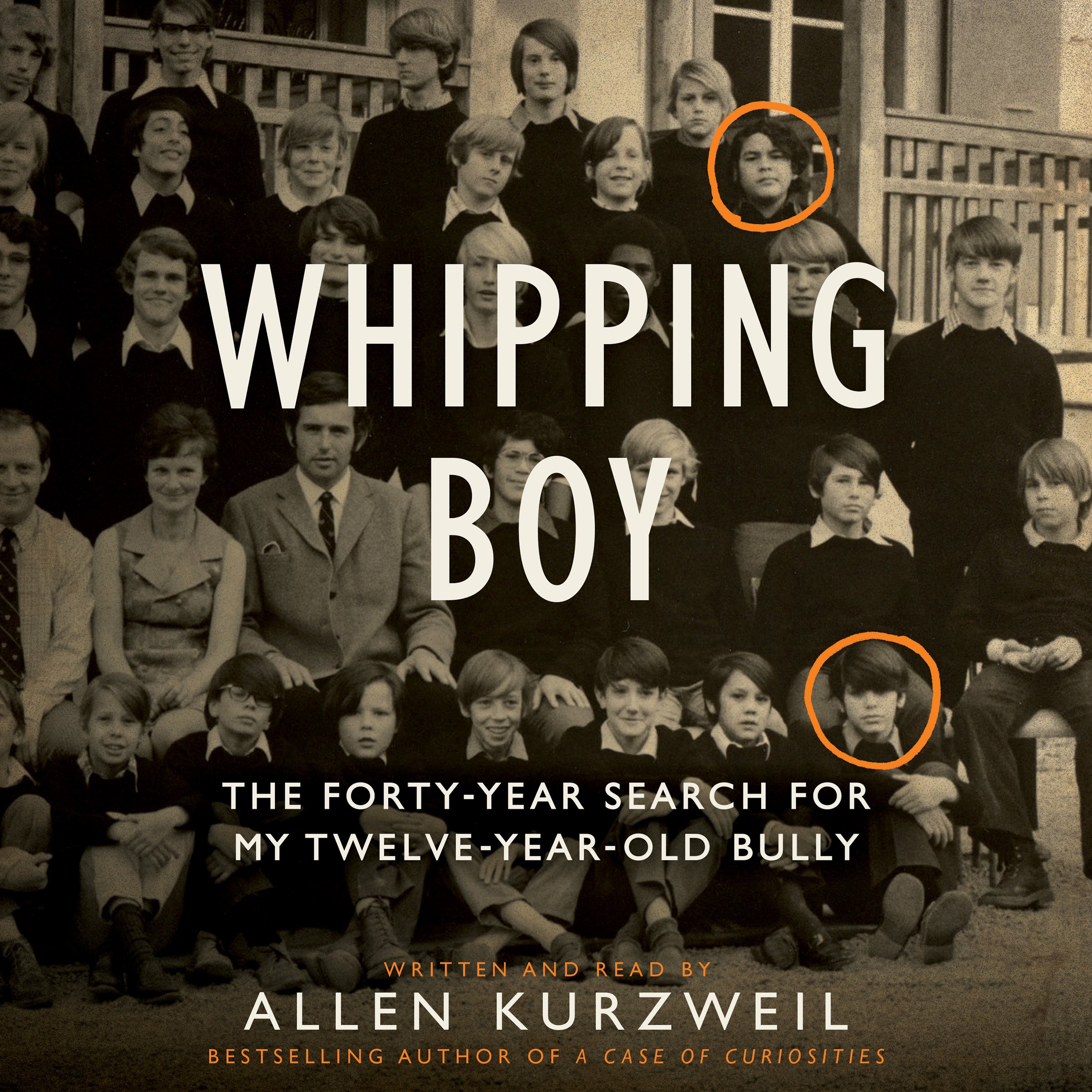Cover art for Whipping Boy