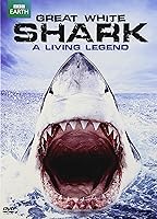 Vista 1 de Great White Shark - A Living Legend (DVD)