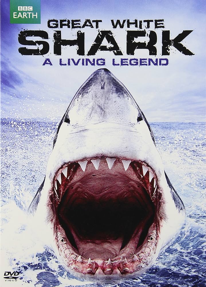 その他 Great White Sharks-Isla De Guadalupe-Mexico [DVD] Great White Sharks of Guadalupe Island | Go face to face in
