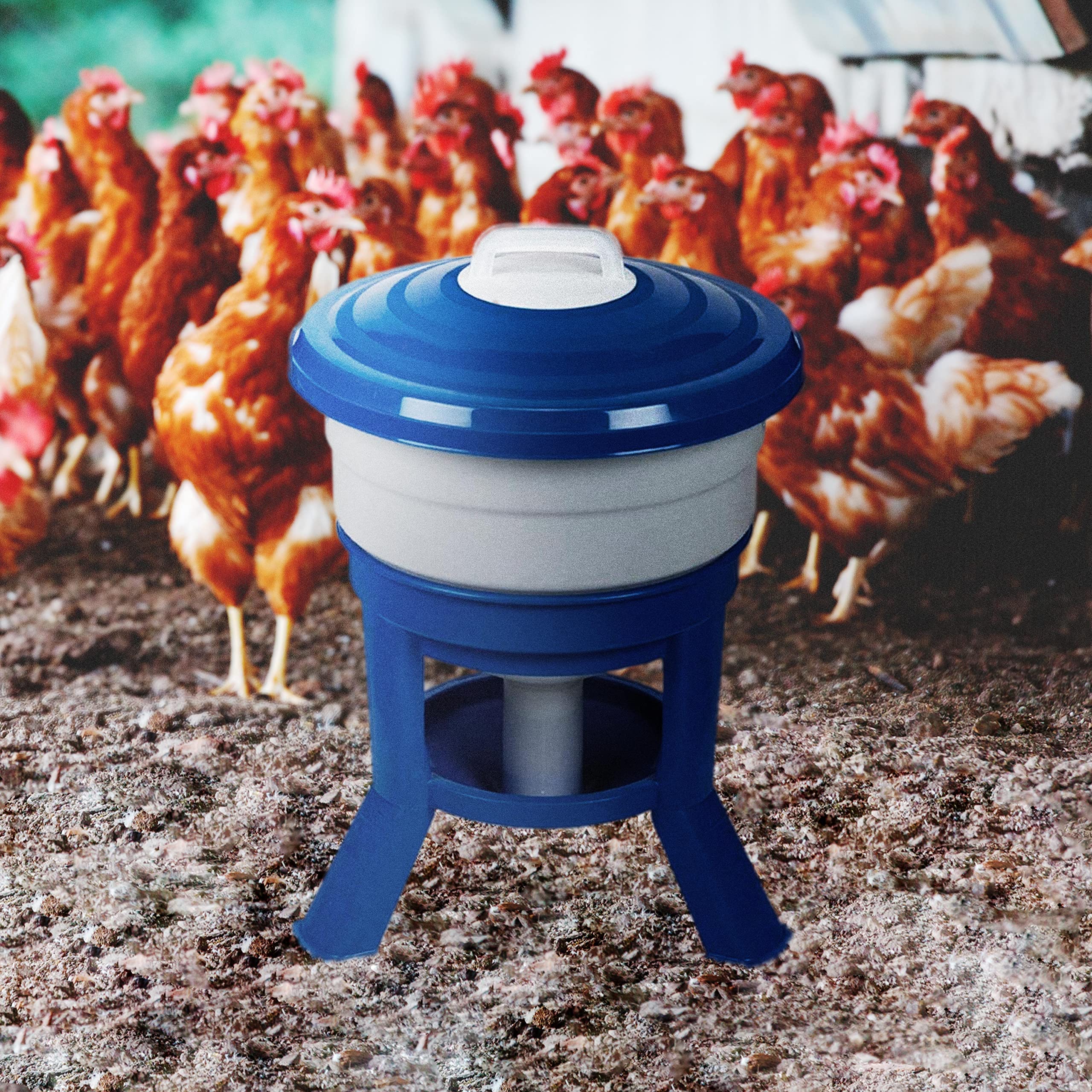 Bebedero Sifón Premium para Aves de Corral (30L) - Bebedero con Patas para Gallinas - Mantiene el Agua Limpia - Gran Capacidad