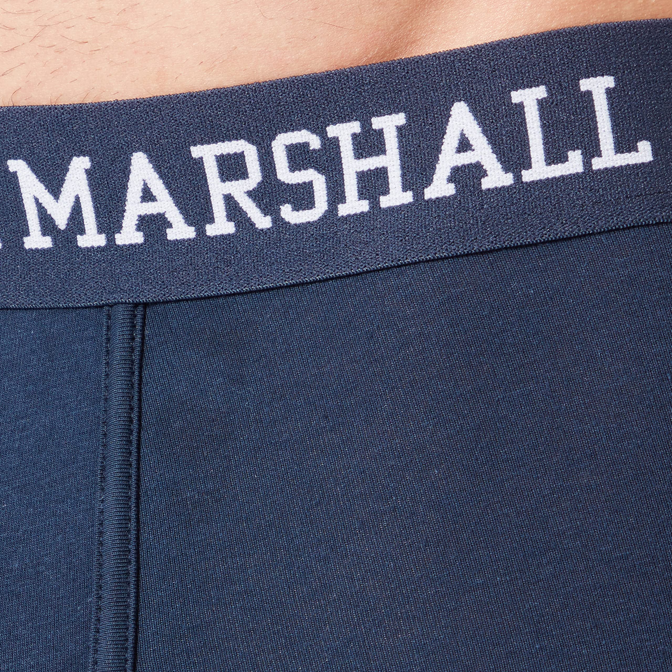 Franklin & Marshall Herren Boxershorts, Blau/Weiß, I101290, Gr. XL