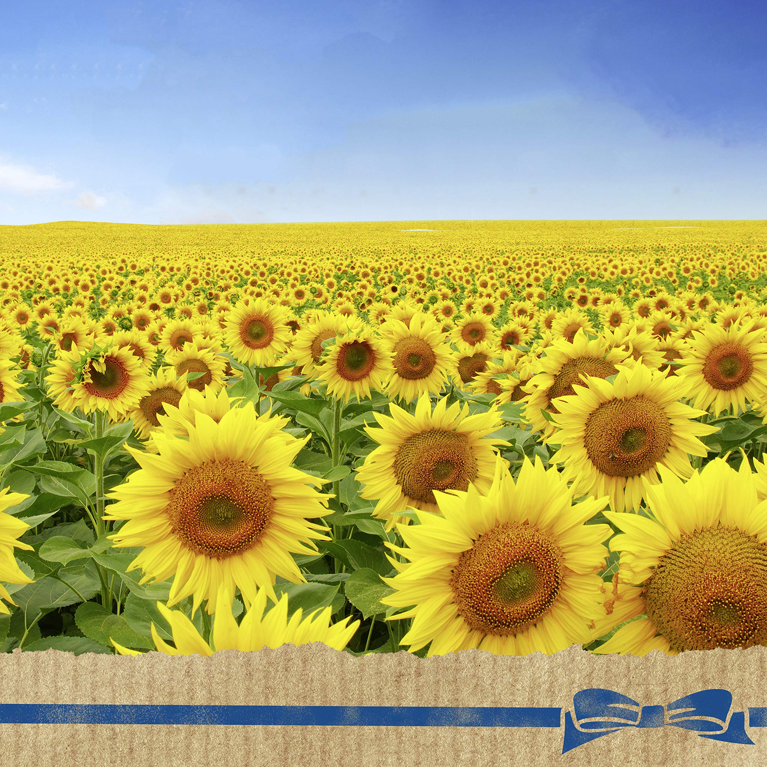 Hellmann's Vegan Dressing and Spread for A Rich, Creamy PlantBased