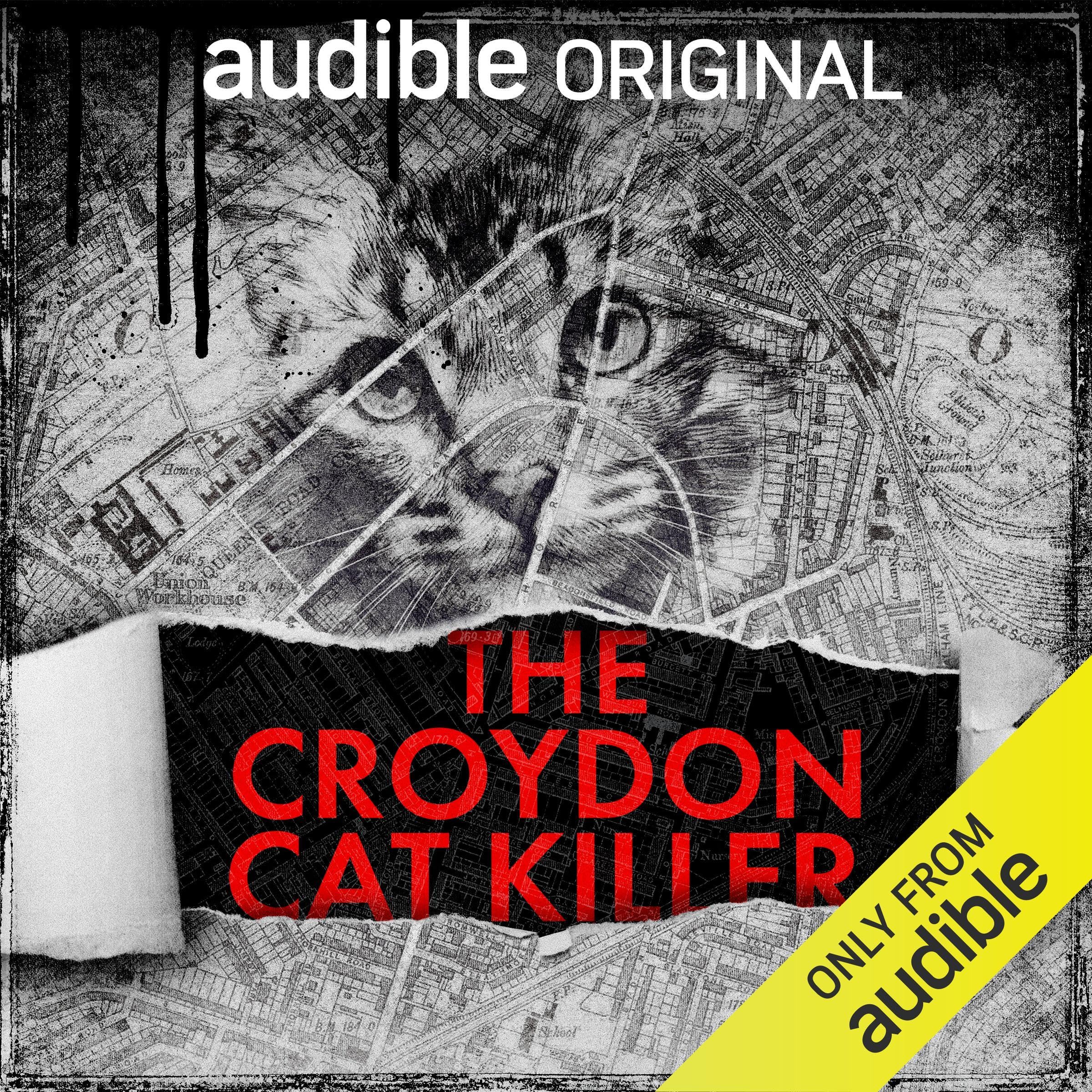 The Croydon Cat Killer
