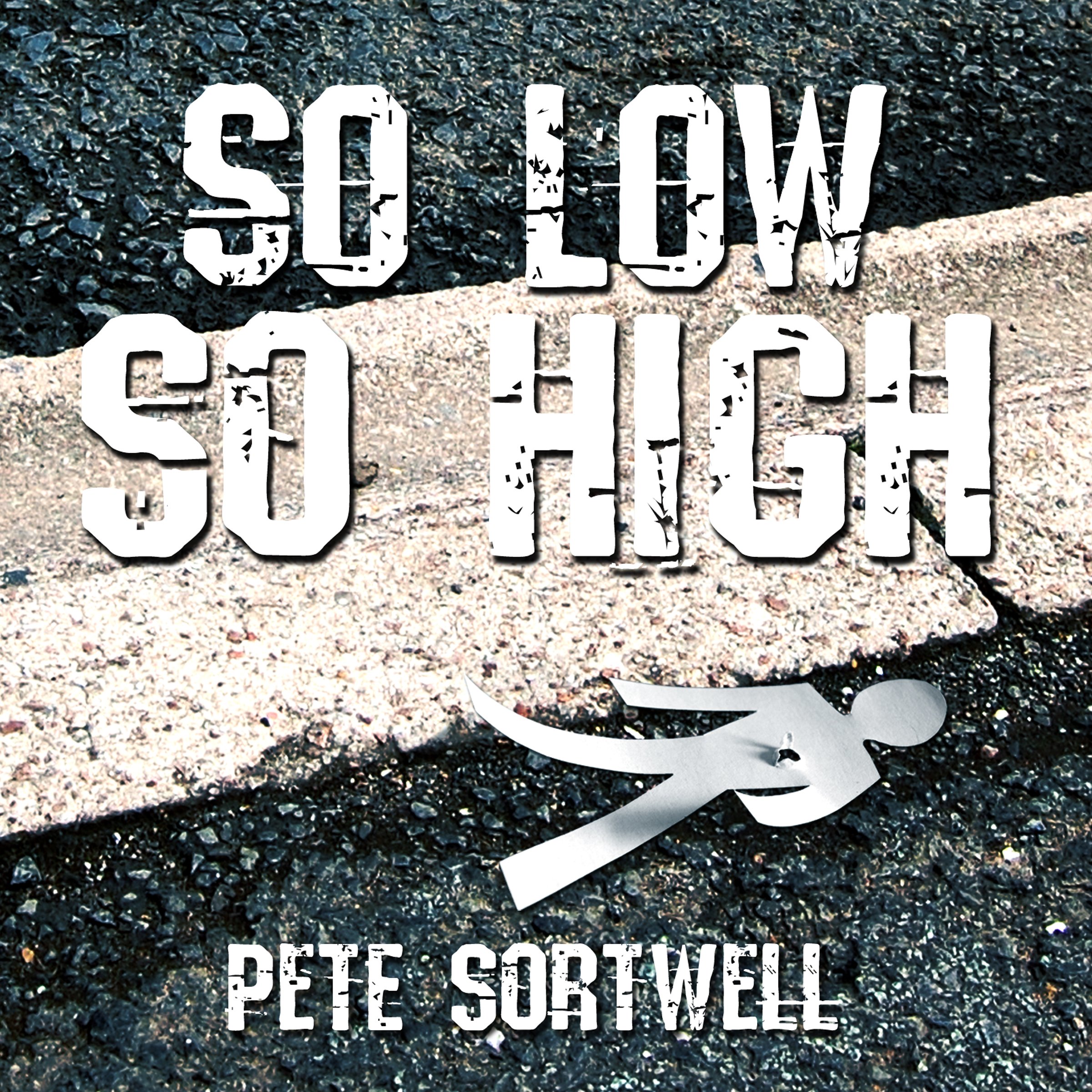 Cover art for So Low So High