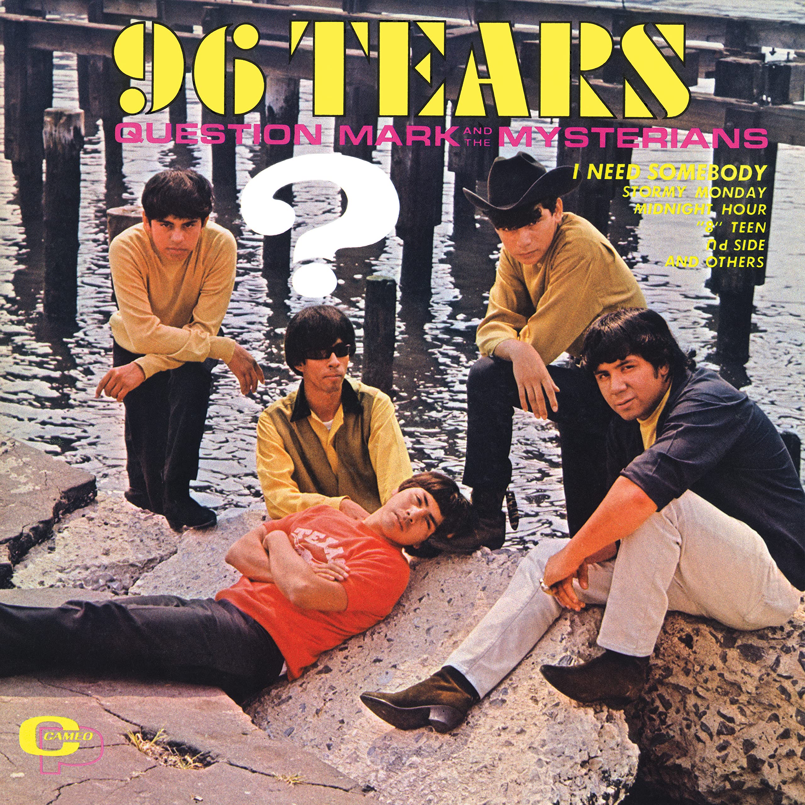 96 Tears [VINYL]