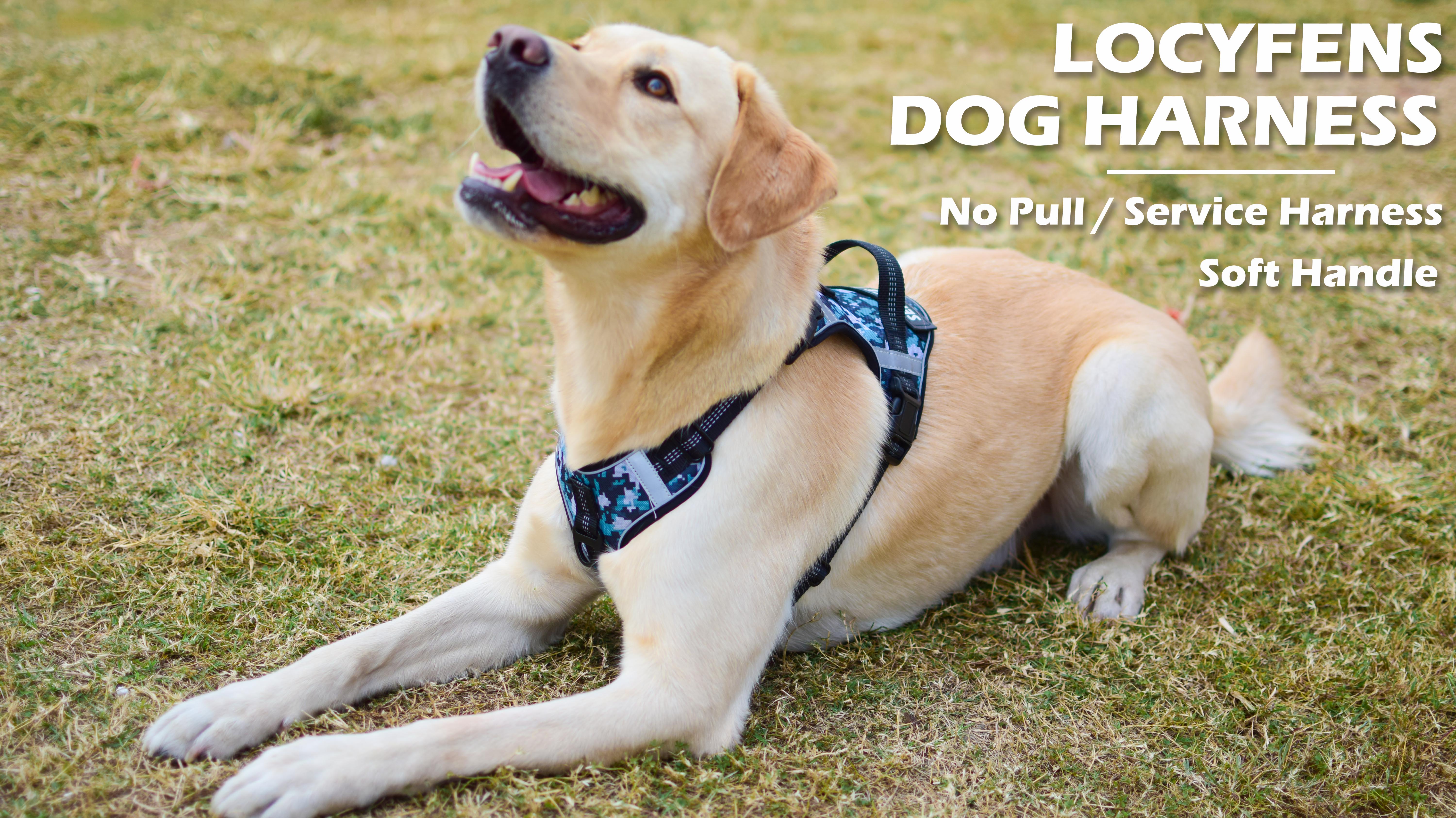 LOCYFENS Dog Harness, No Pull Dog Harness with Soft Handle and 2 Leash Clips, Service Dog Harness with 4 Different… - Image 8
