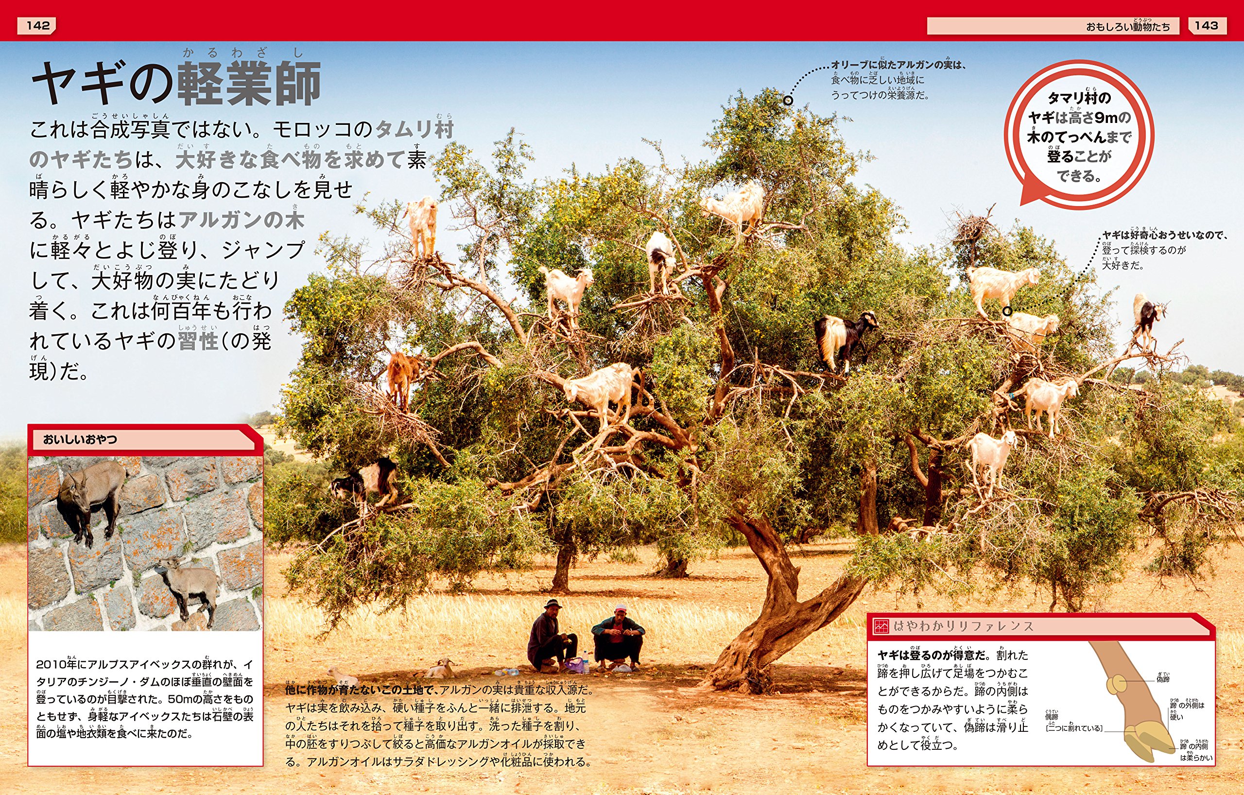 ウソのような現実の大図鑑 ミルズ アンドレア まもる 増田 本 通販 Amazon