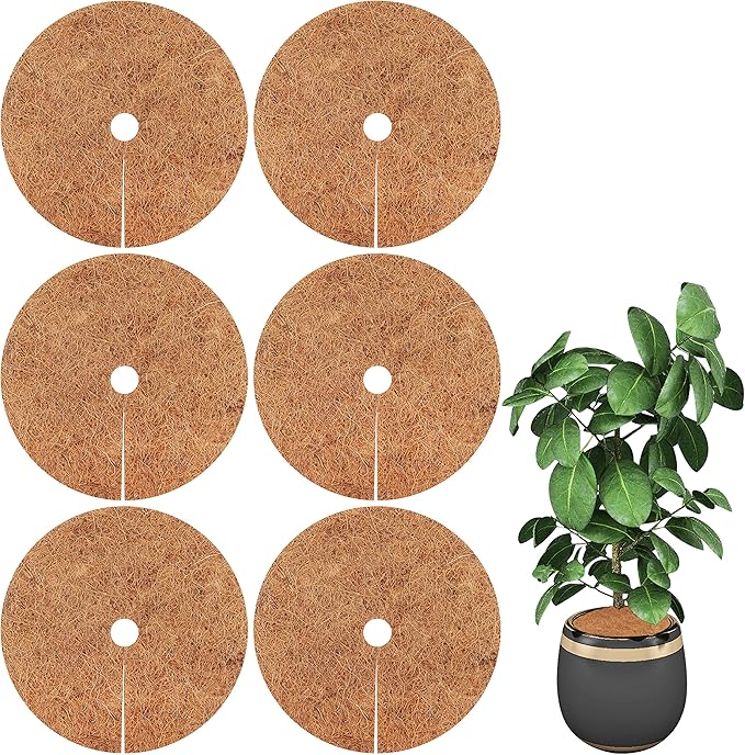 Rebundex 6 Stück Kokosscheibe 30cm Rund Kokosmatte Winterschutz Rund