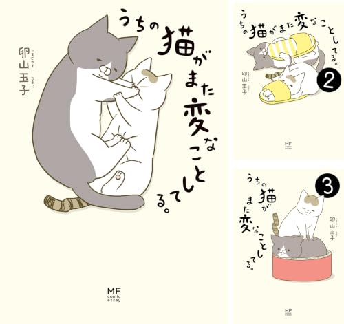 うちの猫がまた変なことしてる。