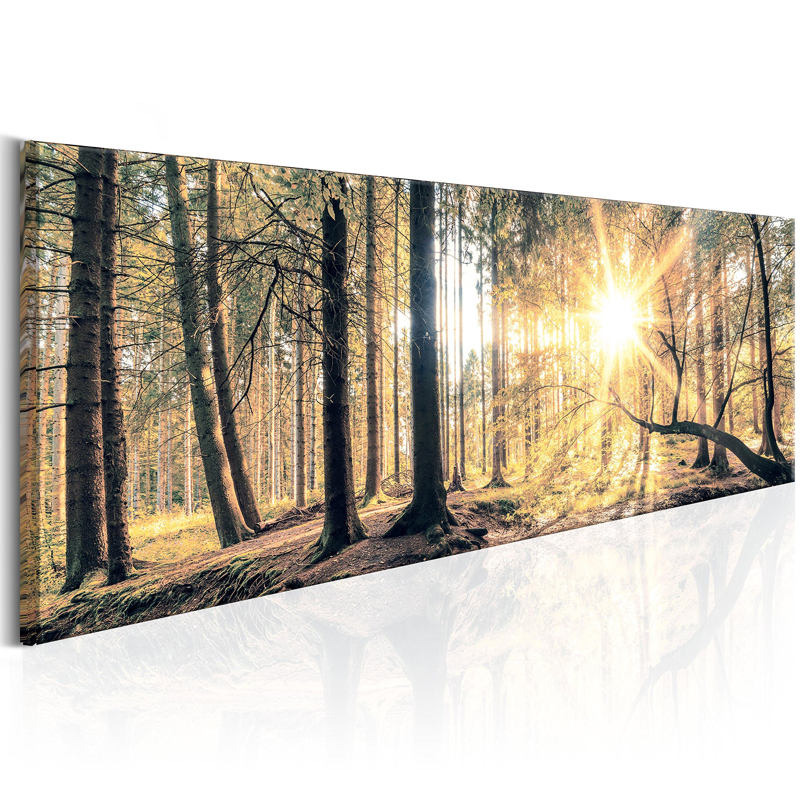 artgeist Acoustic Canvas Wall Art Forest Landscape 47x16 in - 1pcs Picture with Acoustic Foam Sound Print Artwork Room Acoustics Soundproofing - Forest Nature Trees Sunlight c-C-0018-b-d