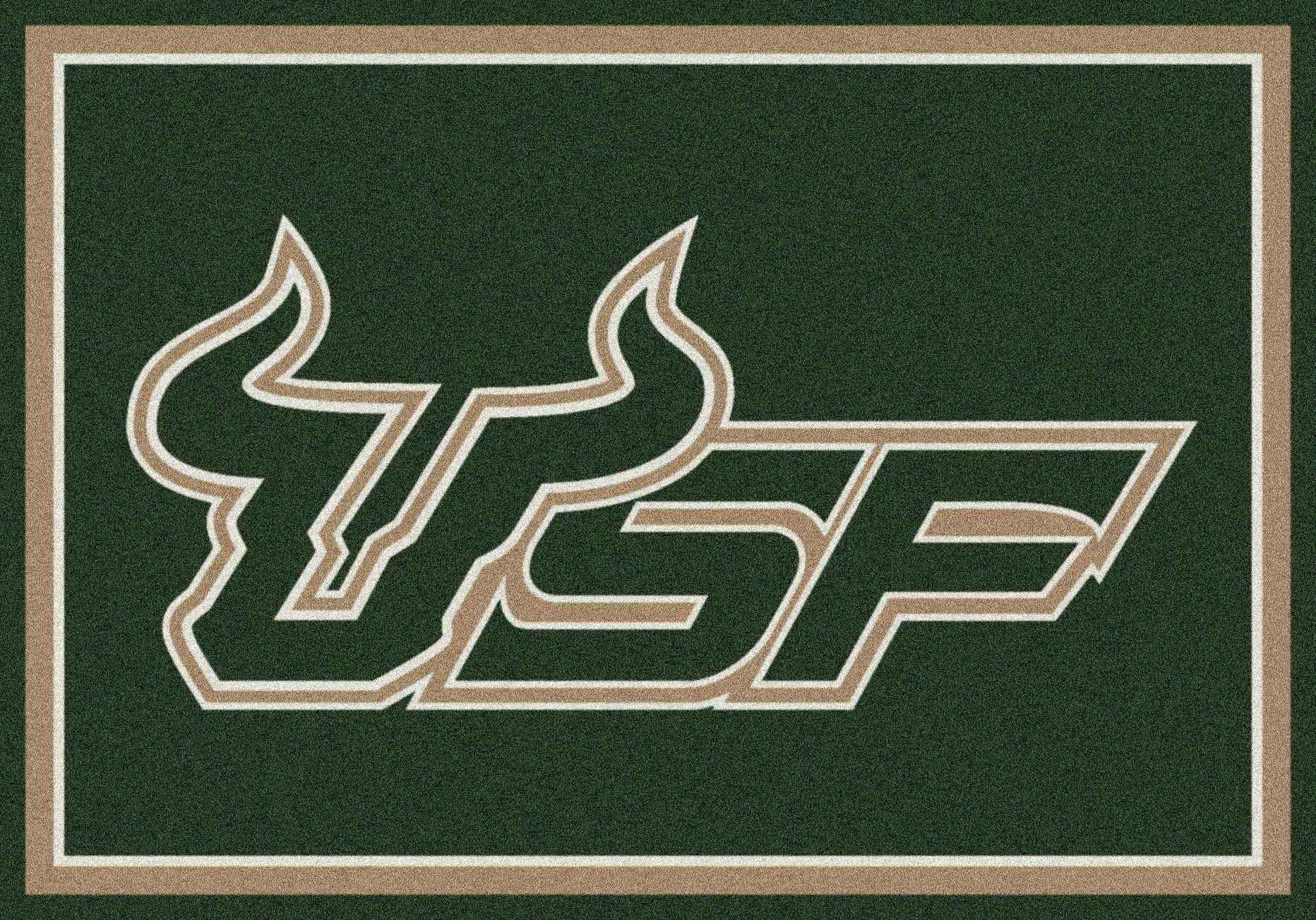 South Florida College Team Spirit Rug: 54"x78"