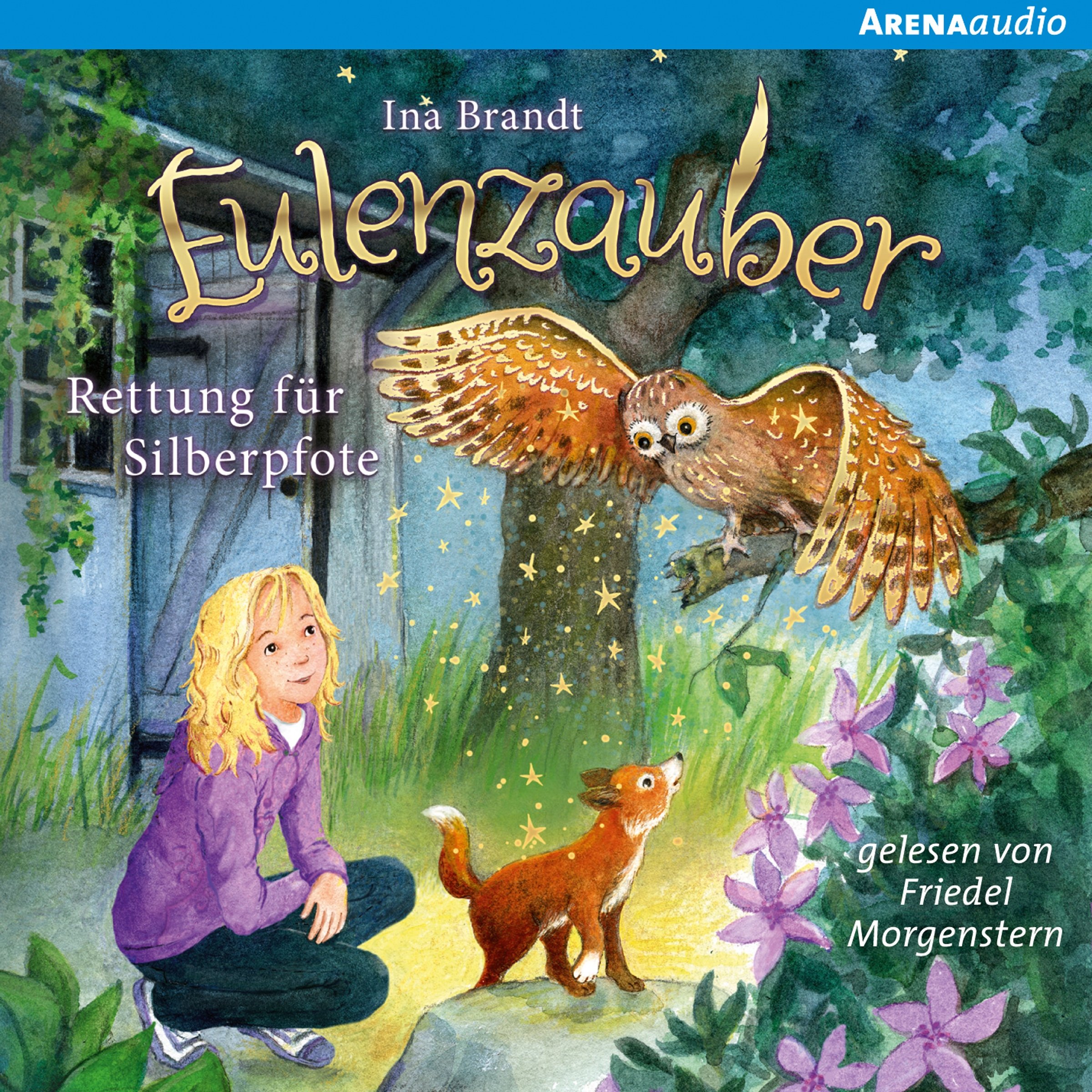 Cover art for Rettung für Silberpfote