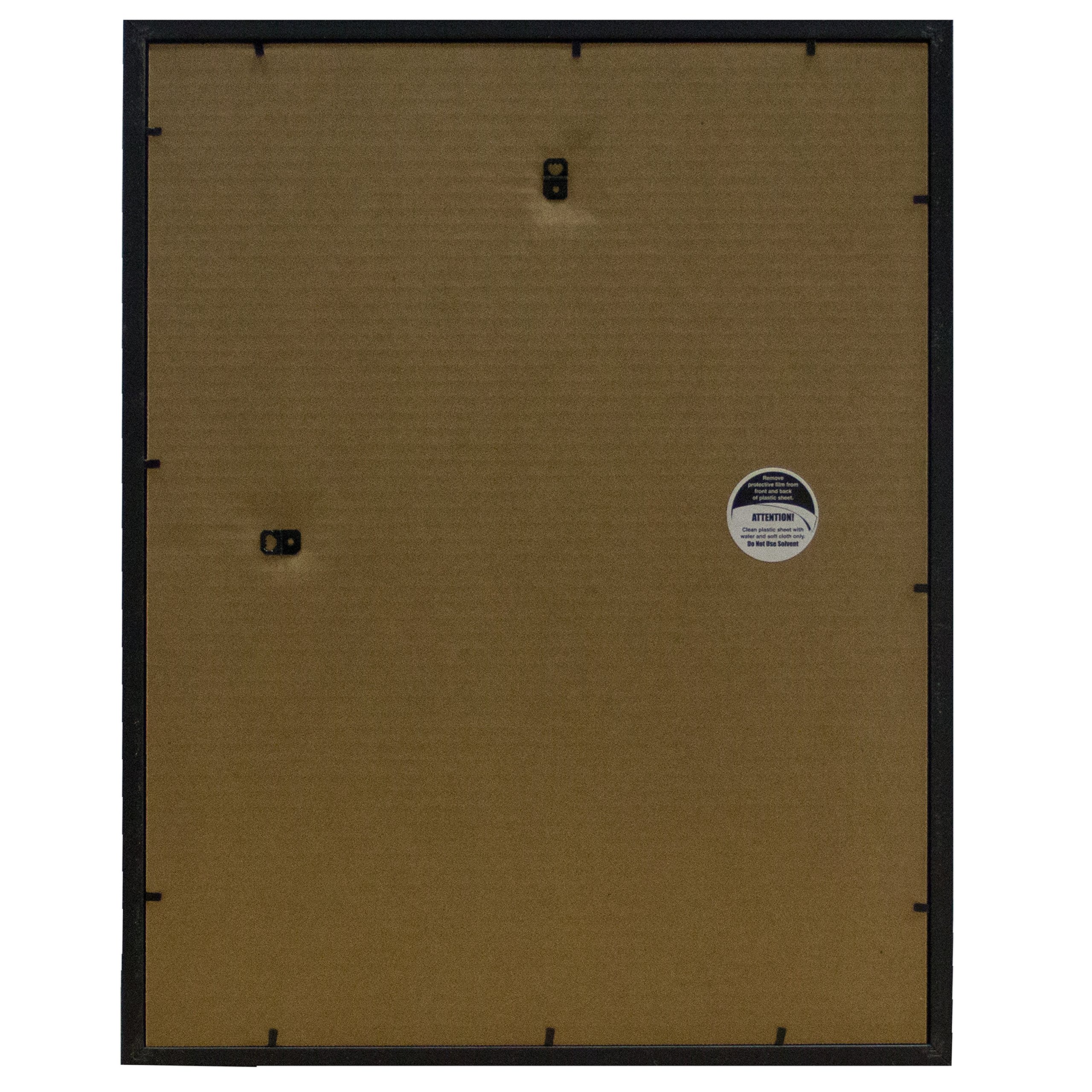 Frame USA 16x20 Deluxe Polystyrene Plastic Poster Frames (Black), Made in America