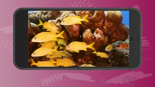 Peaceful Aquarium Oceanic Coral Reefs Deep Sleep Sounds Screensaver for Fire TV – vue 2