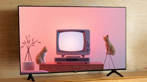 Playful Paws Paradise - Adorable Cat Antics & Purring Sounds for a Relaxing TV Screensaver