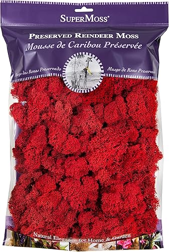 Miniatura 45 de SuperMoss (21710) Musgo de Reno Conservado, Verde Bosque, 1.36kg