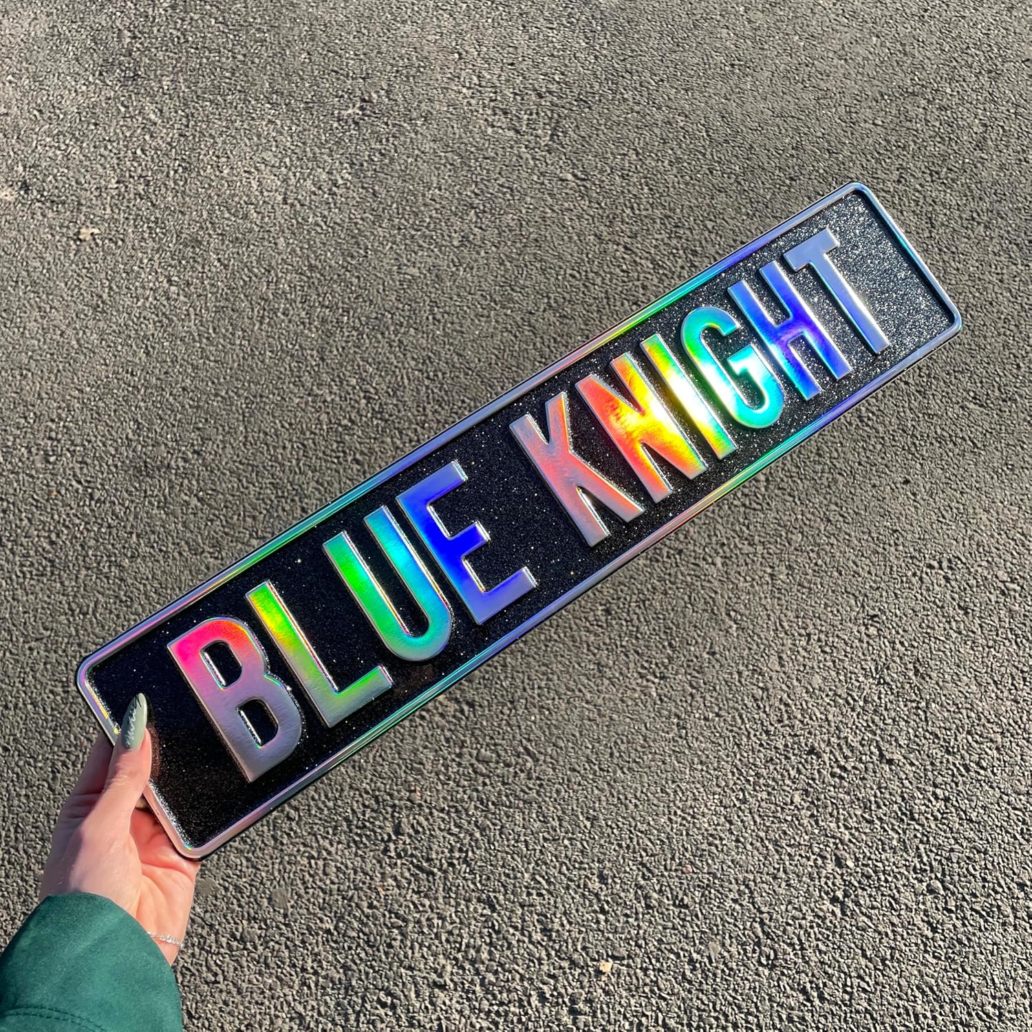 Custom Nameplate License Plate European Home Decor Metal Art Personalized Front Delete Interior Funny Gift Name (Chameleon)
