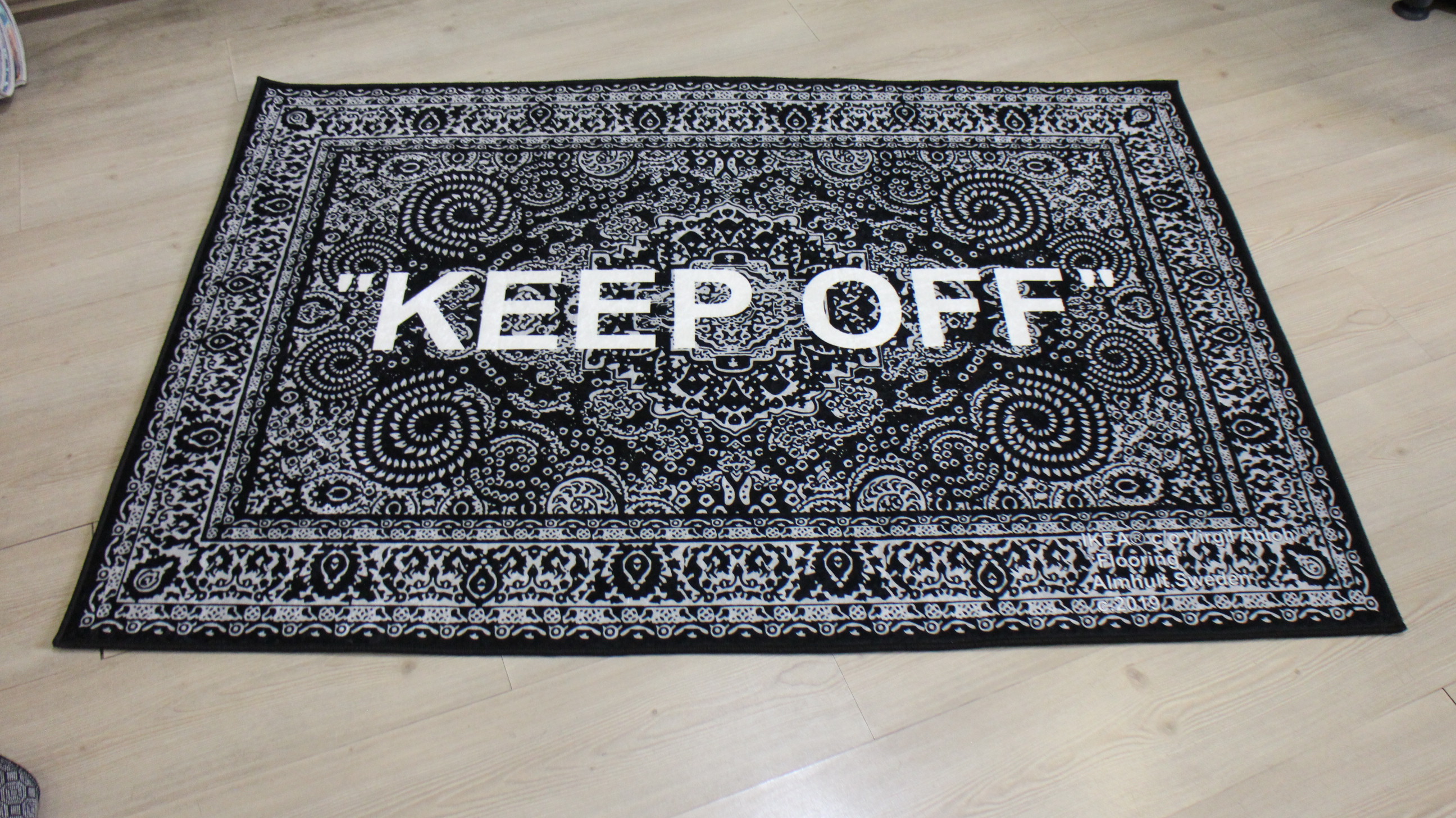 Amazon.com: YIKUDU Keep Off Large Rugs Floor Mat Modern Carpet for