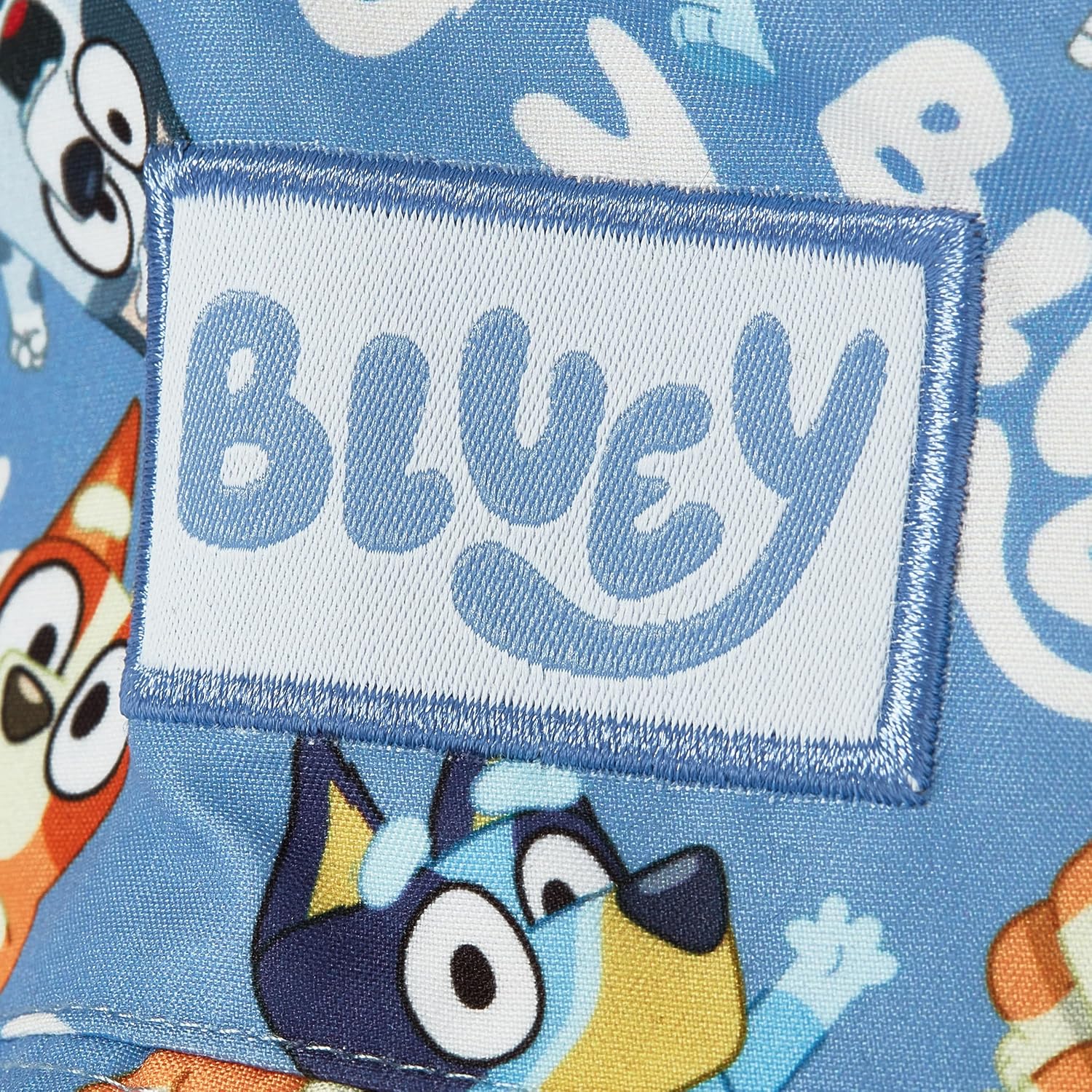 Bluey Bucket Hat, Bingo and Muffin Kids Hat, Boys Hats for Summer, Blue, One Size