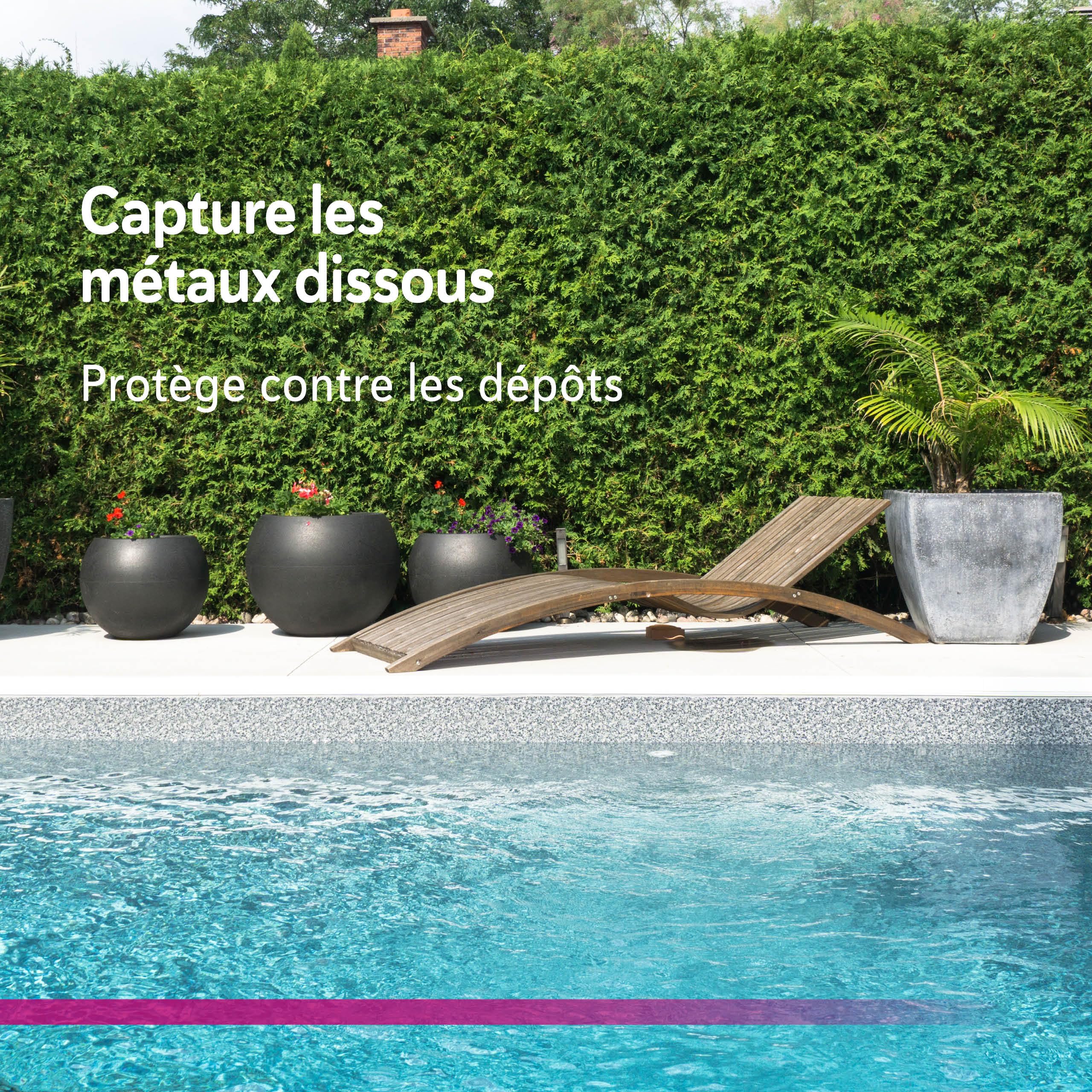 Metall-EX Liquide 5 L – Séquestrant Métaux et Calcaire pour Piscine Privée – Élimine Les Colorations, Troubles et Dépôts de Fer, Cuivre et Calcaire – Traitement Eau Cristalline