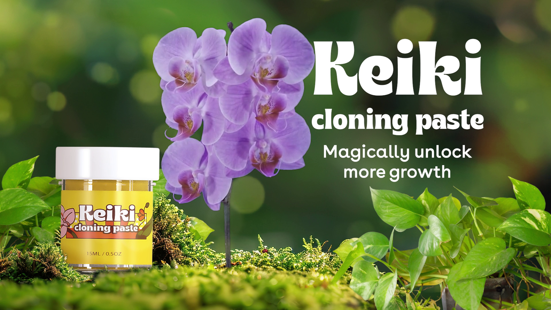 TQ・Gel (ジェル) TQK-type 200ml♡2本♡HWビタミン転写♡ Amazon.com : Keiki Paste for Plants to Clone & Create New Growth