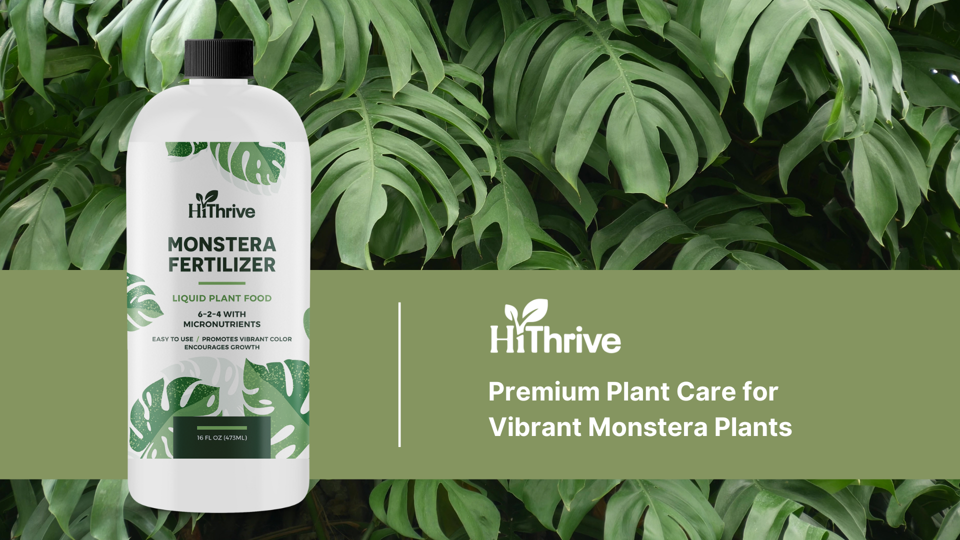 best soil for philodendron prince of orange Prince of Orange Philodendron – Hey Rooted
