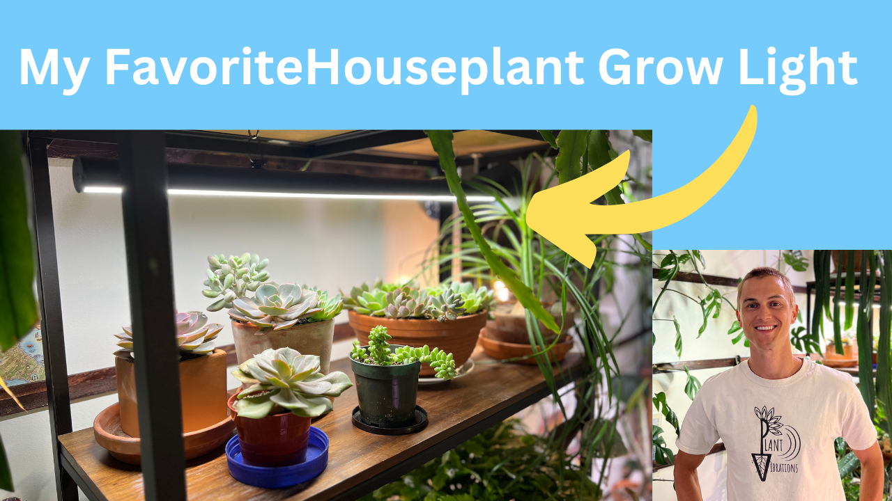 Plant Vibrations with Devin Wallien's Amazon Page