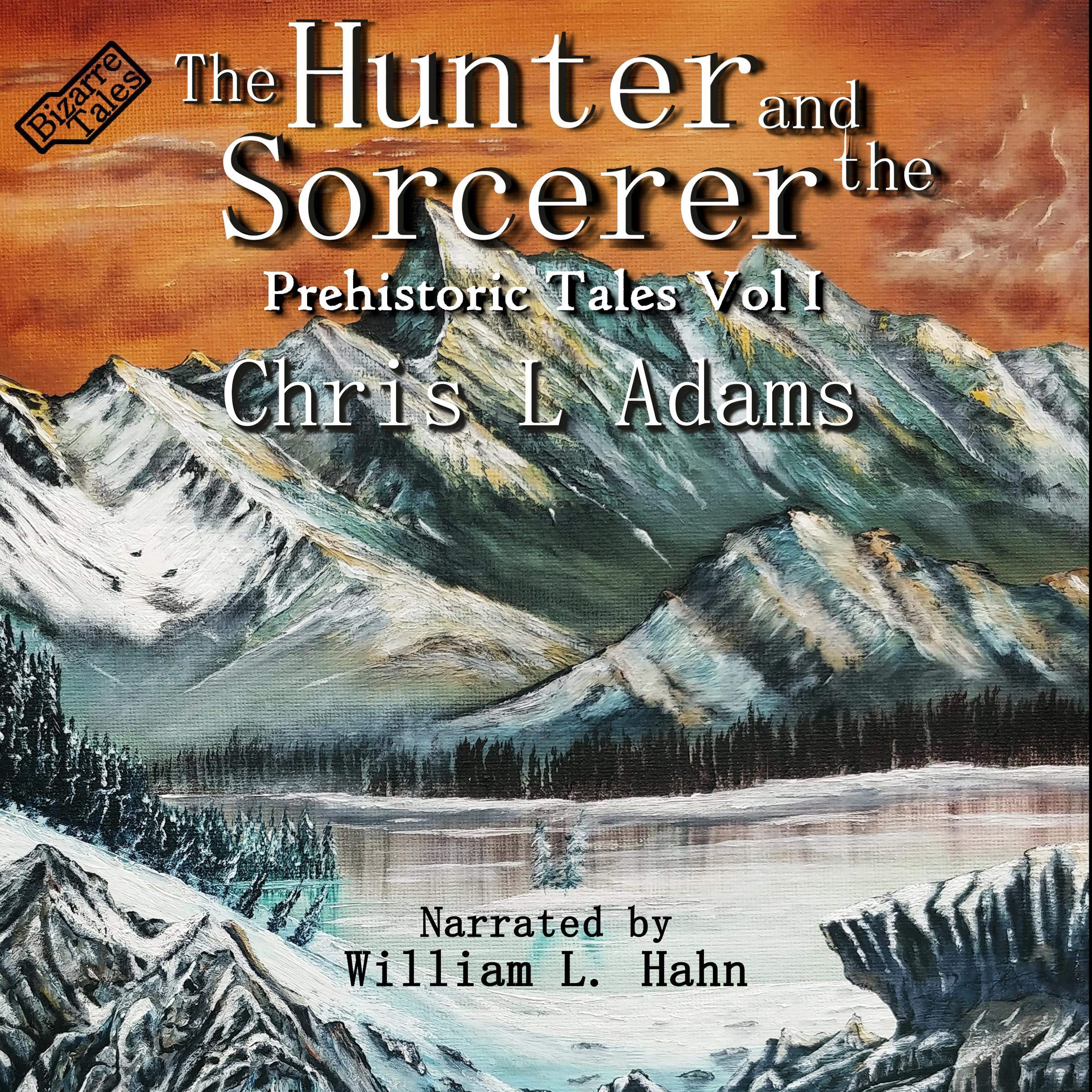 Cover art for The Hunter and the Sorcerer
