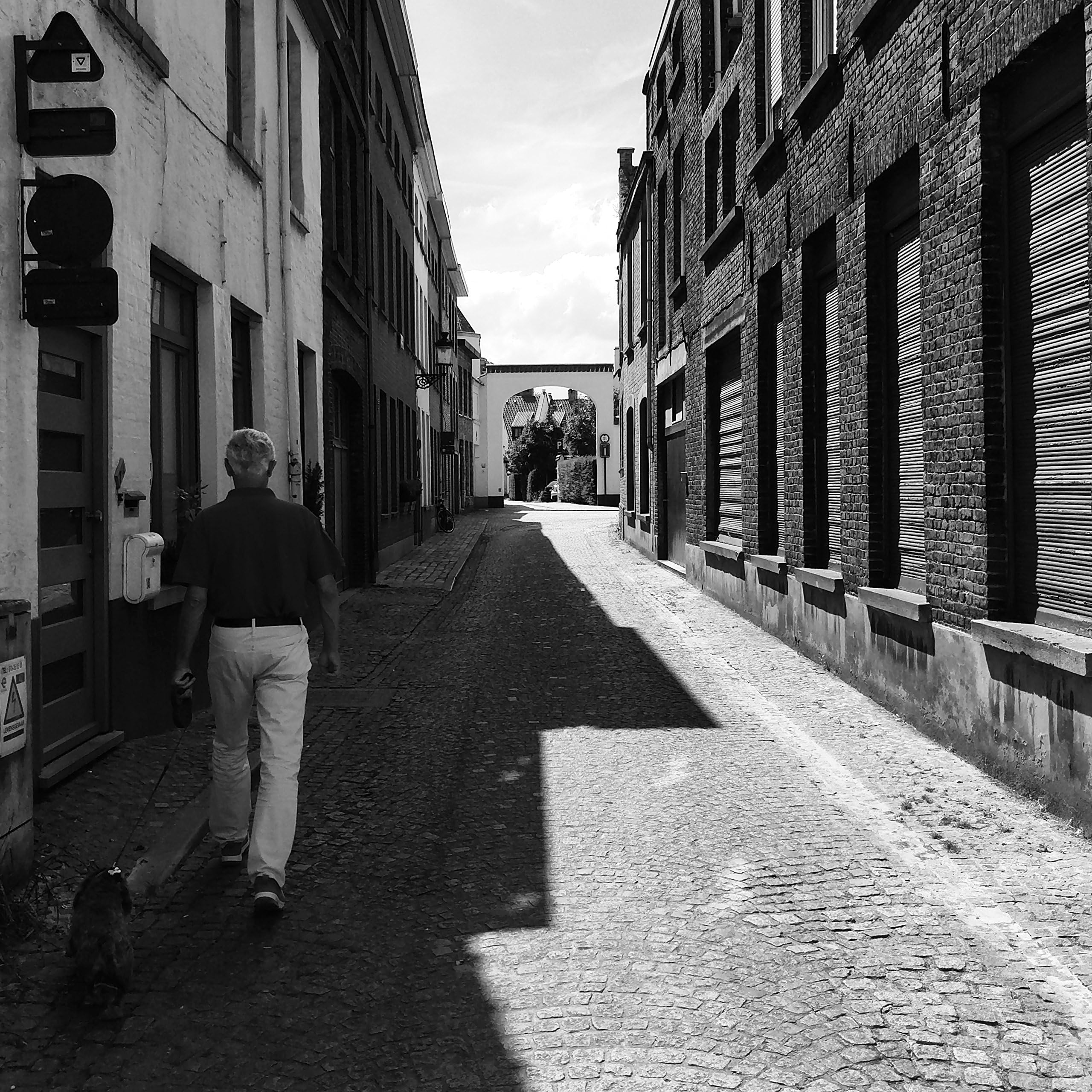 Belgium Print, Belgium Photography, Bruges Print, Bruges Photography, Black And White Print, Street Photography, Man Walking Dog, Shadows
