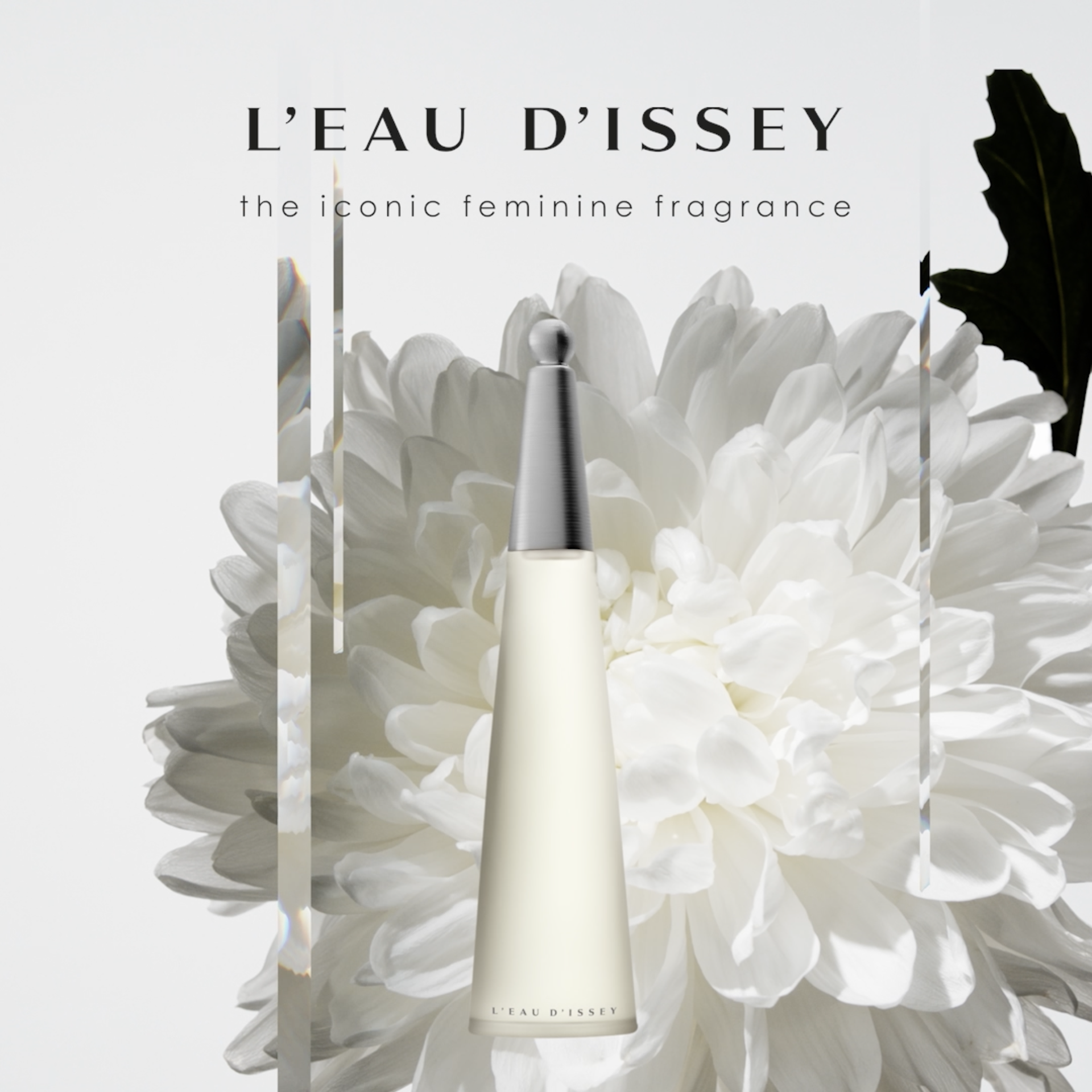 Amazon.com: Issey Miyake L'Eau d'Issey Eau de Toilette - Fragrance