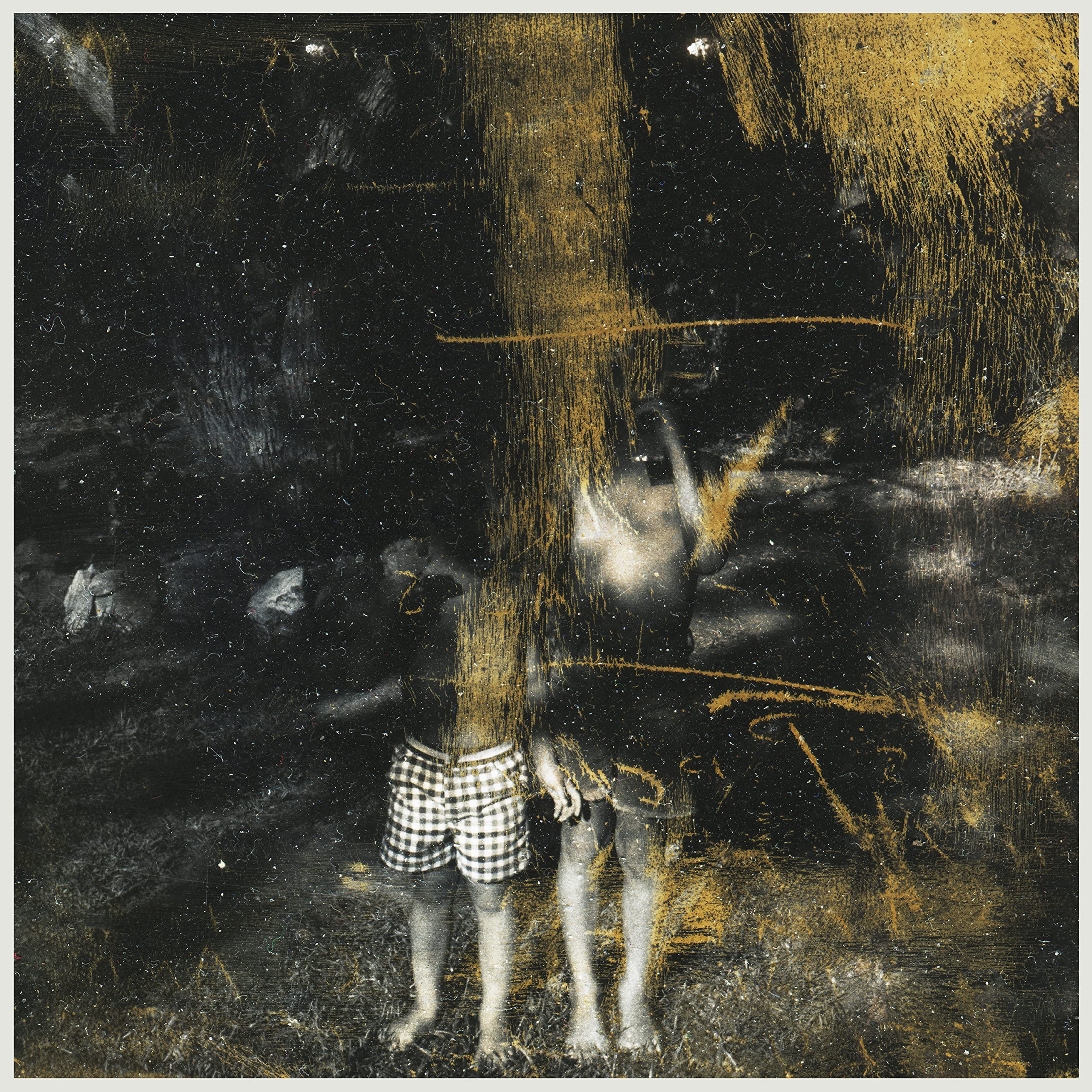 Voids [VINYL]