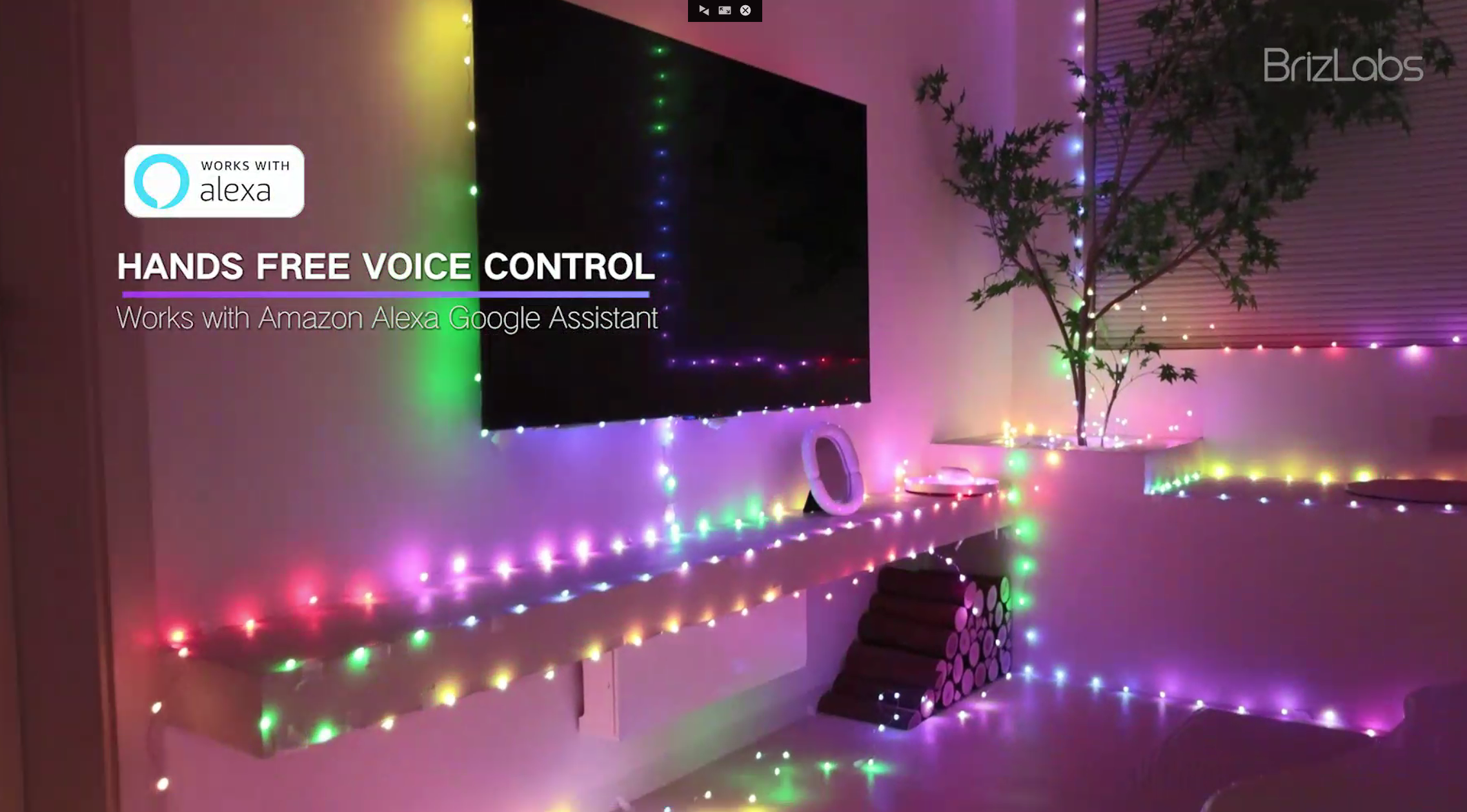 Amazon.com: BrizLabs Smart Fairy String Lights, 66ft 200 LED WiFi