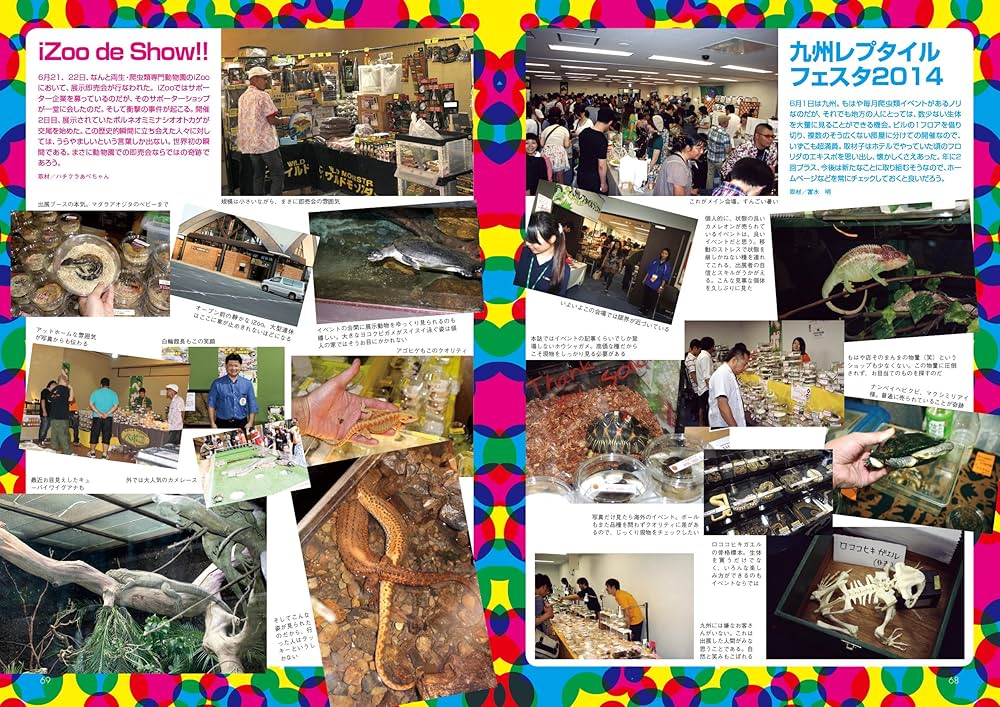 【ふぐ】ビバリウムガイド20冊セット ビバリウムガイド NO.64 2014年 02月号 |本 | 通販 | Amazon