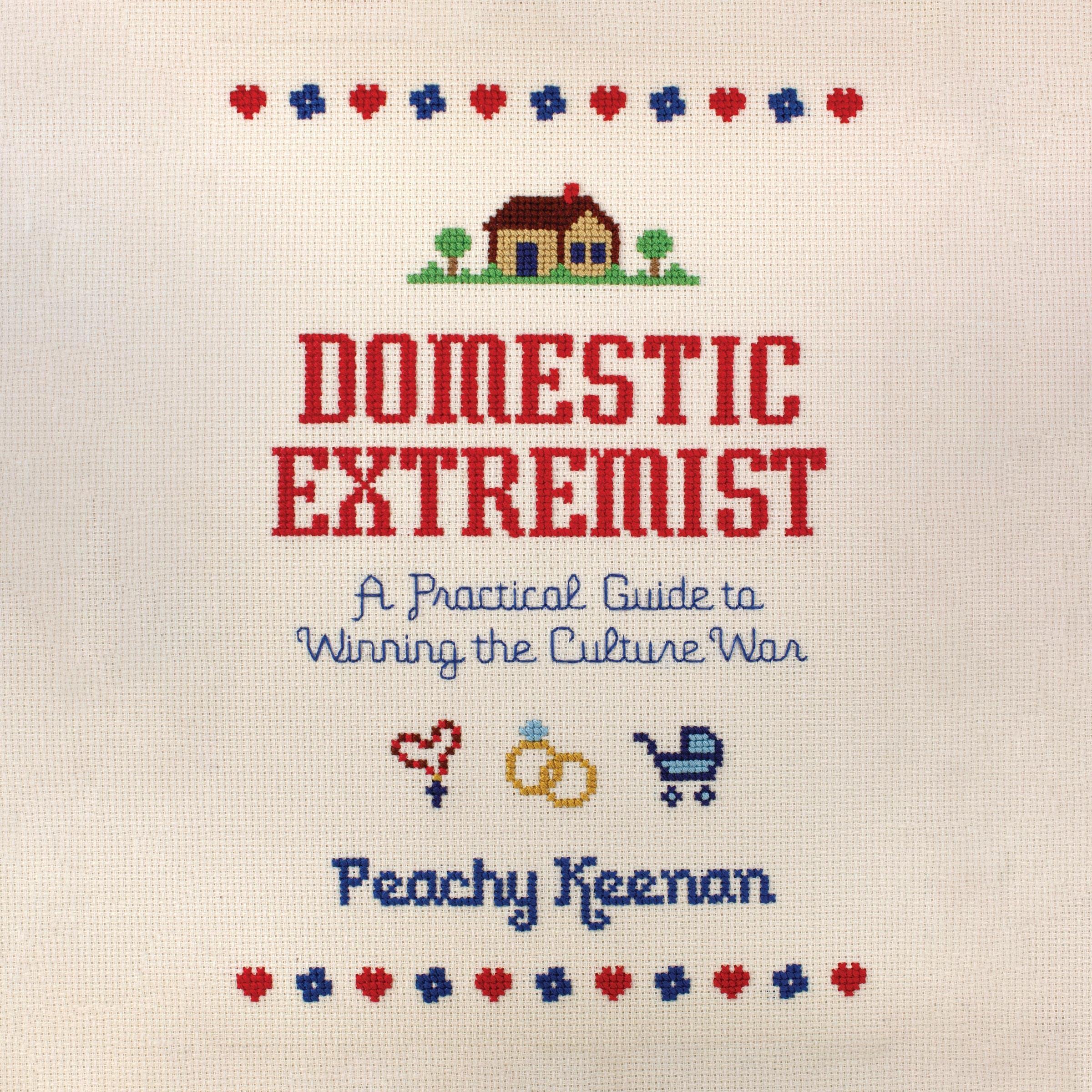 Cover art for Domestic Extremist