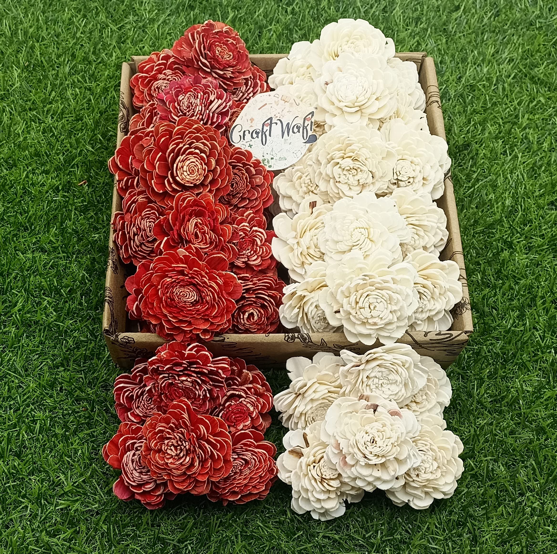 CRAFTWAFT Red White Handcrafted Dahlia Shola Flower 30 Pieces Gift Pack Ideal for Craft Decor More (2 Inch Diameter)