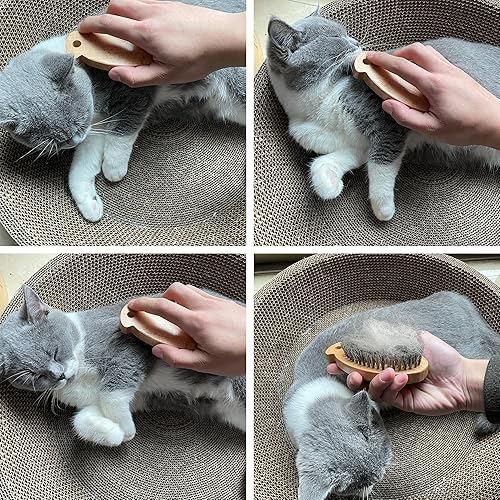 Miniatura 4 de Cepillo para gatos con cerdas de jabalí, cepillo de pelo de aseo diario de grado profesional, reduce el desprendimiento, cabello suave y brillo