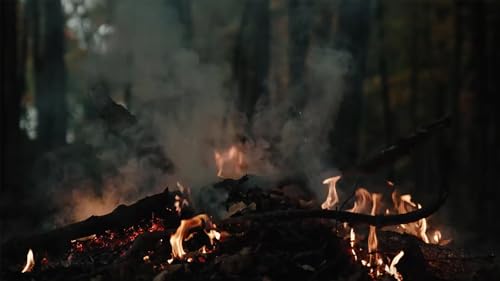 Fireplace 4k Screensaver for Fire TV No Ads