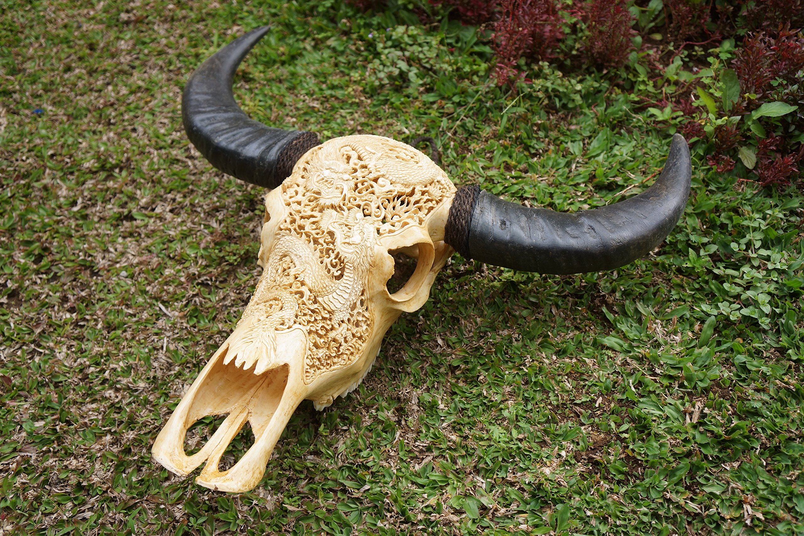 バッファローの頭蓋骨 本物 バッファロースカル 【公式通販】