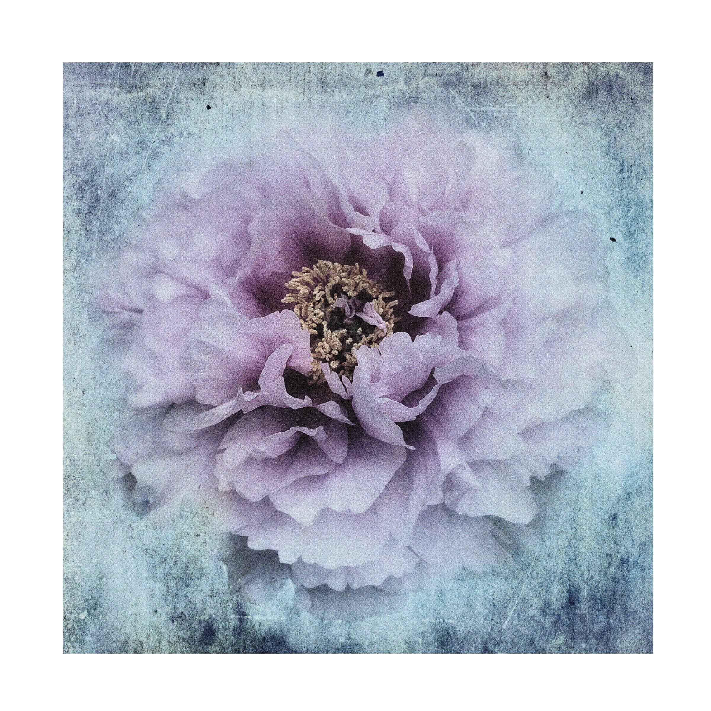 Trademark Fine Art 'The Season I Love' Canvas Art by Stefan Eisele