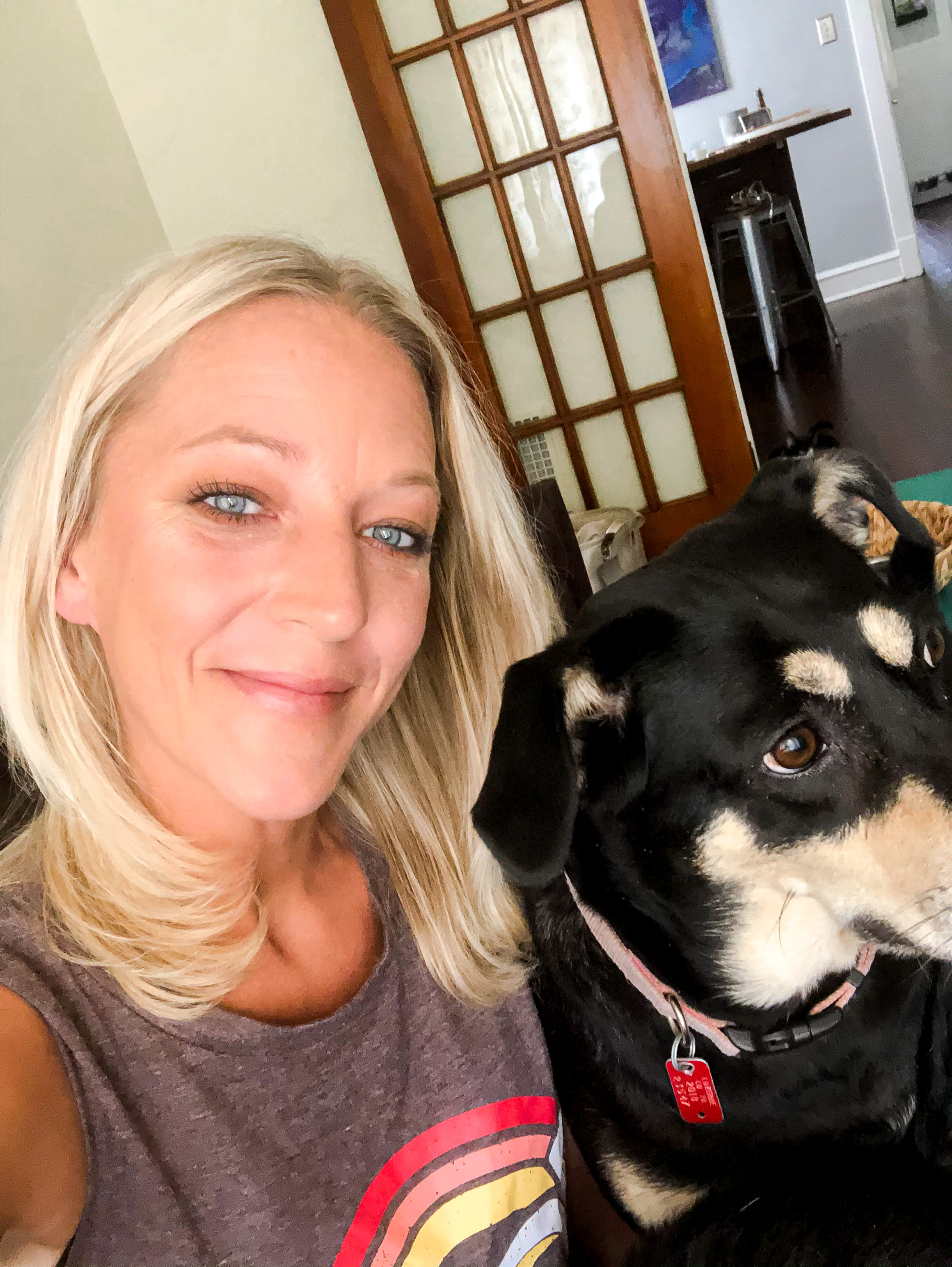 Apple Barrel Acrylic Paint in Assorted Colors (Pack of 3