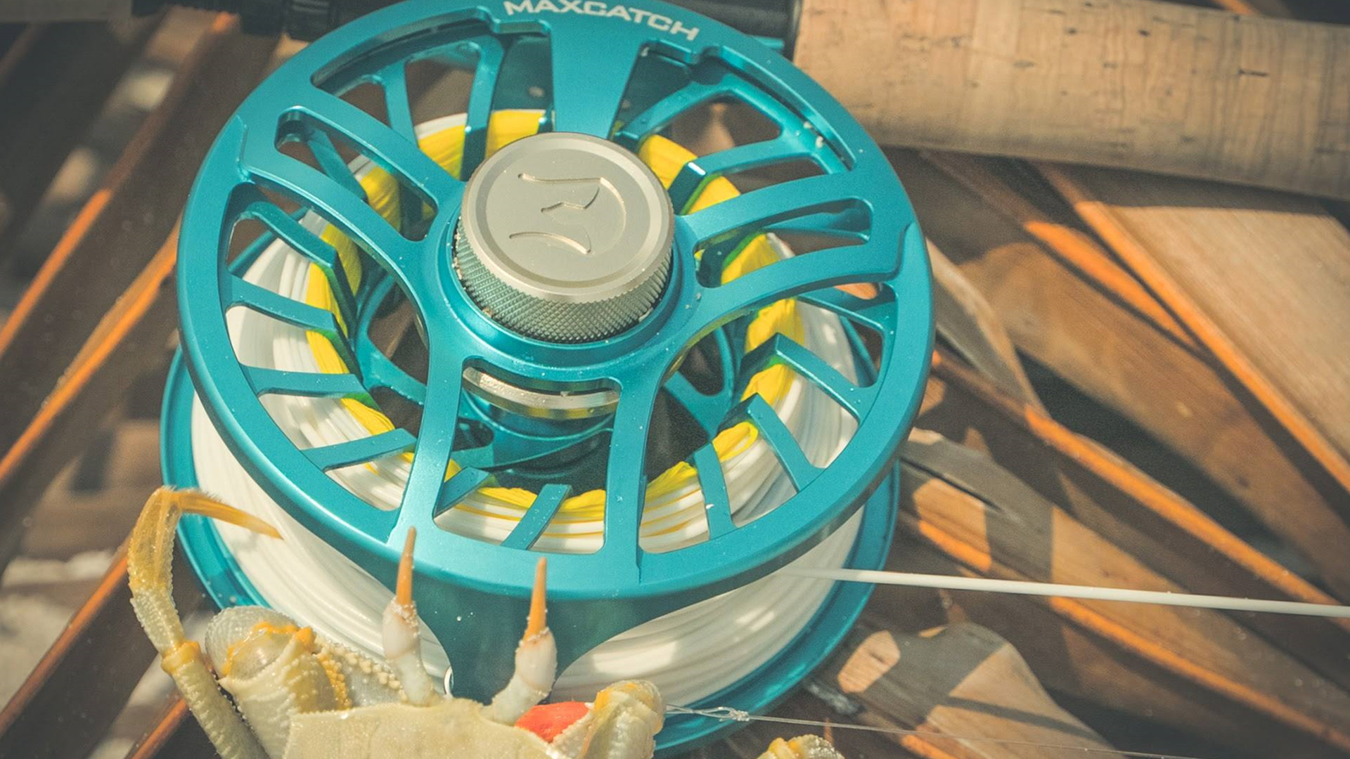 マックスキャッチスパルタ8ten